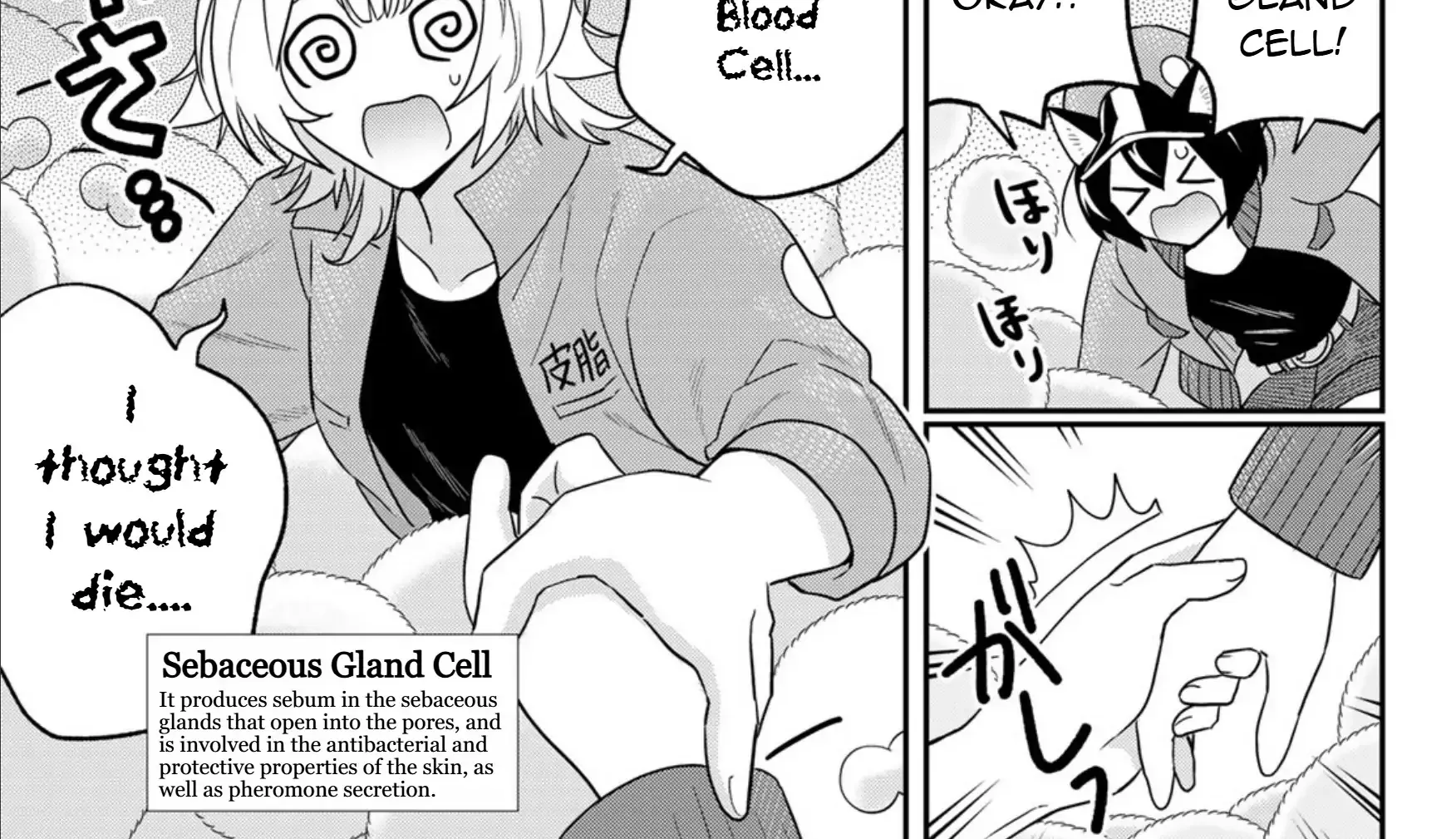 Cells at Work! Cat Chapter 15 page 27 - 