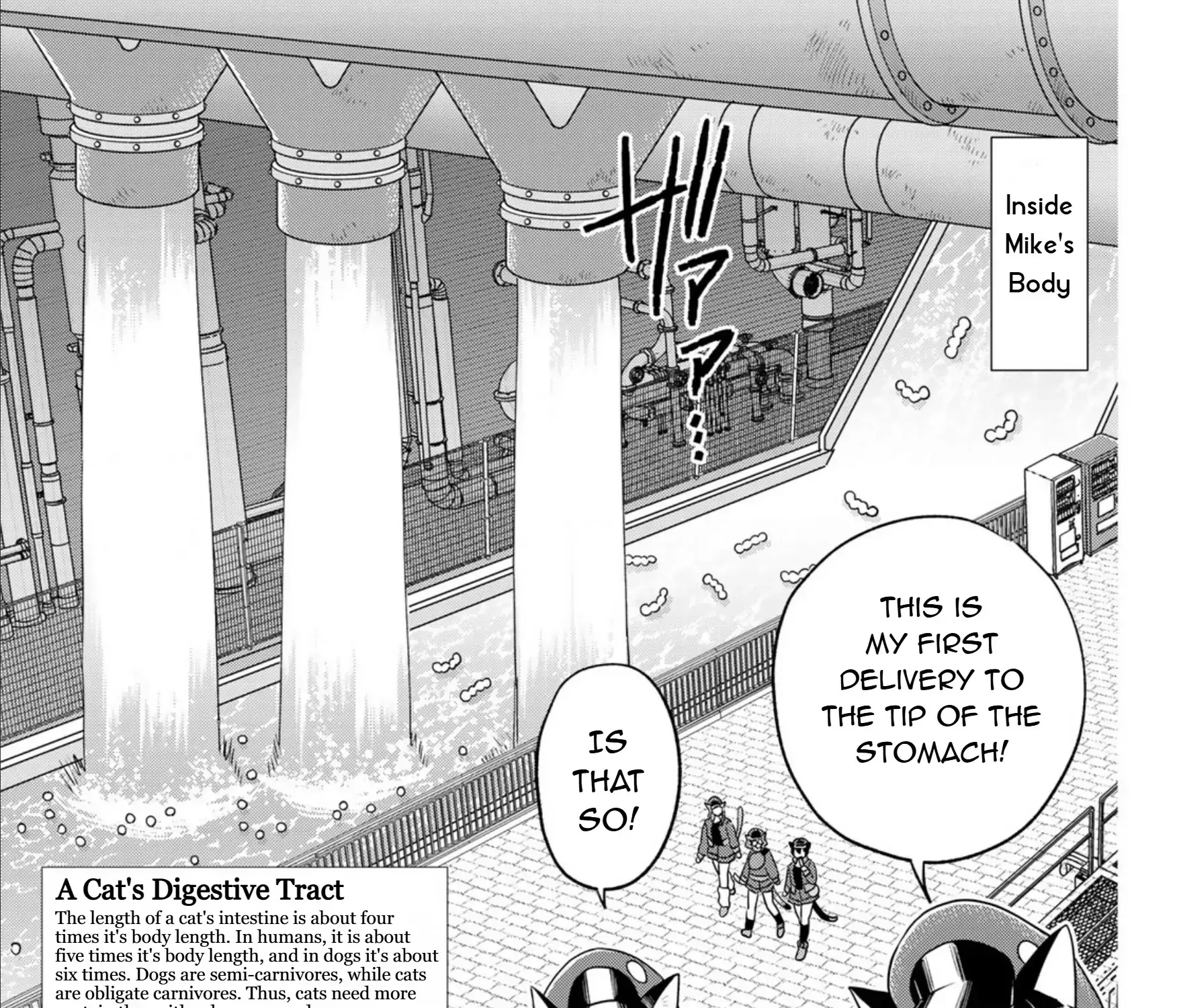 Cells at Work! Cat Chapter 16 page 35 - 