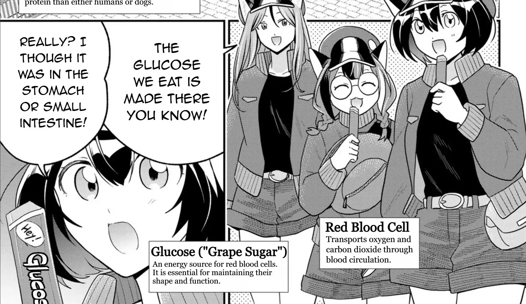 Cells at Work! Cat Chapter 16 page 36 - 