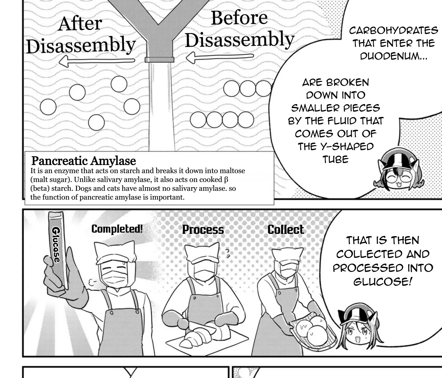 Cells at Work! Cat Chapter 16 page 37 - 