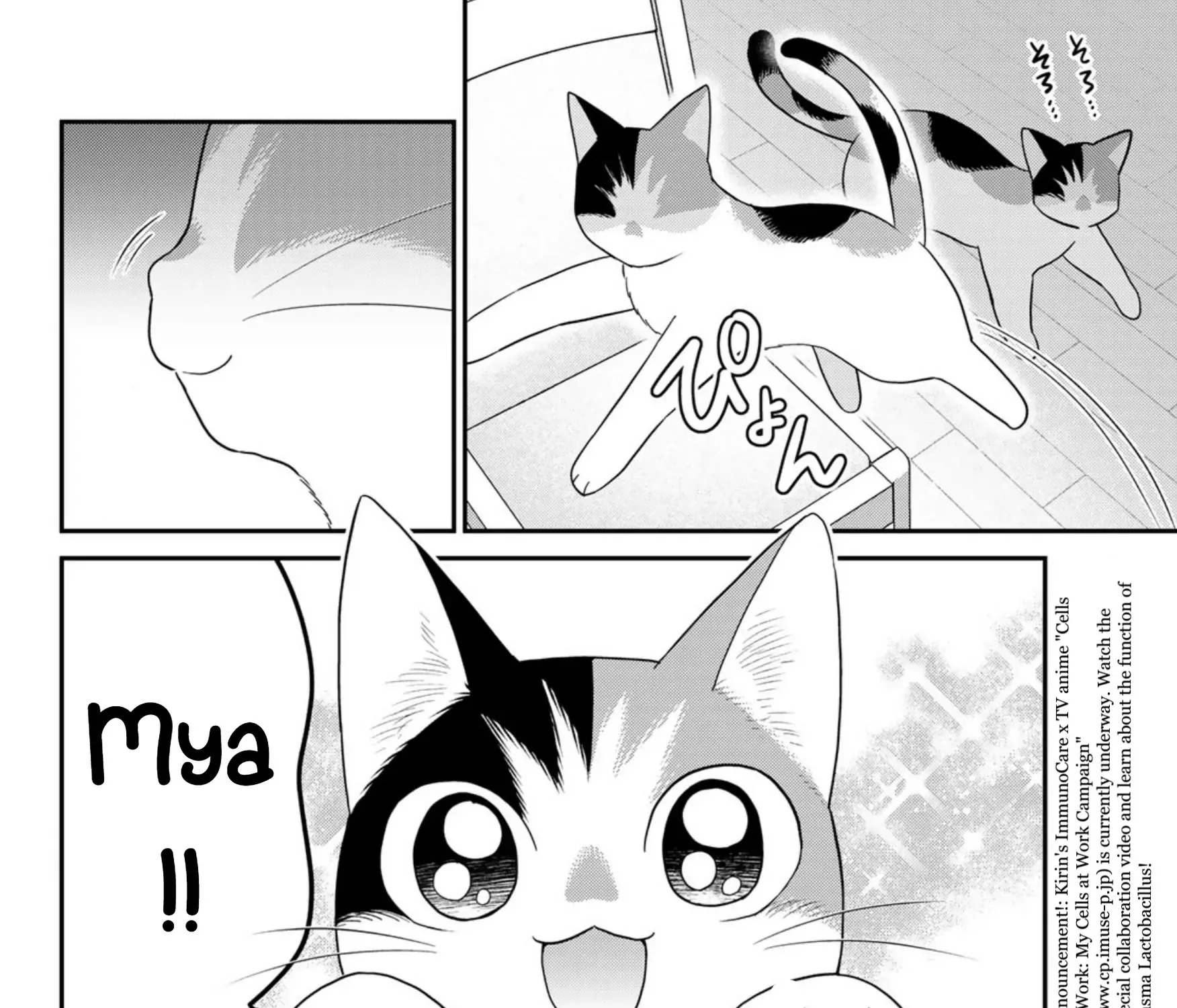 Cells at Work! Cat Chapter 16 page 5 - 