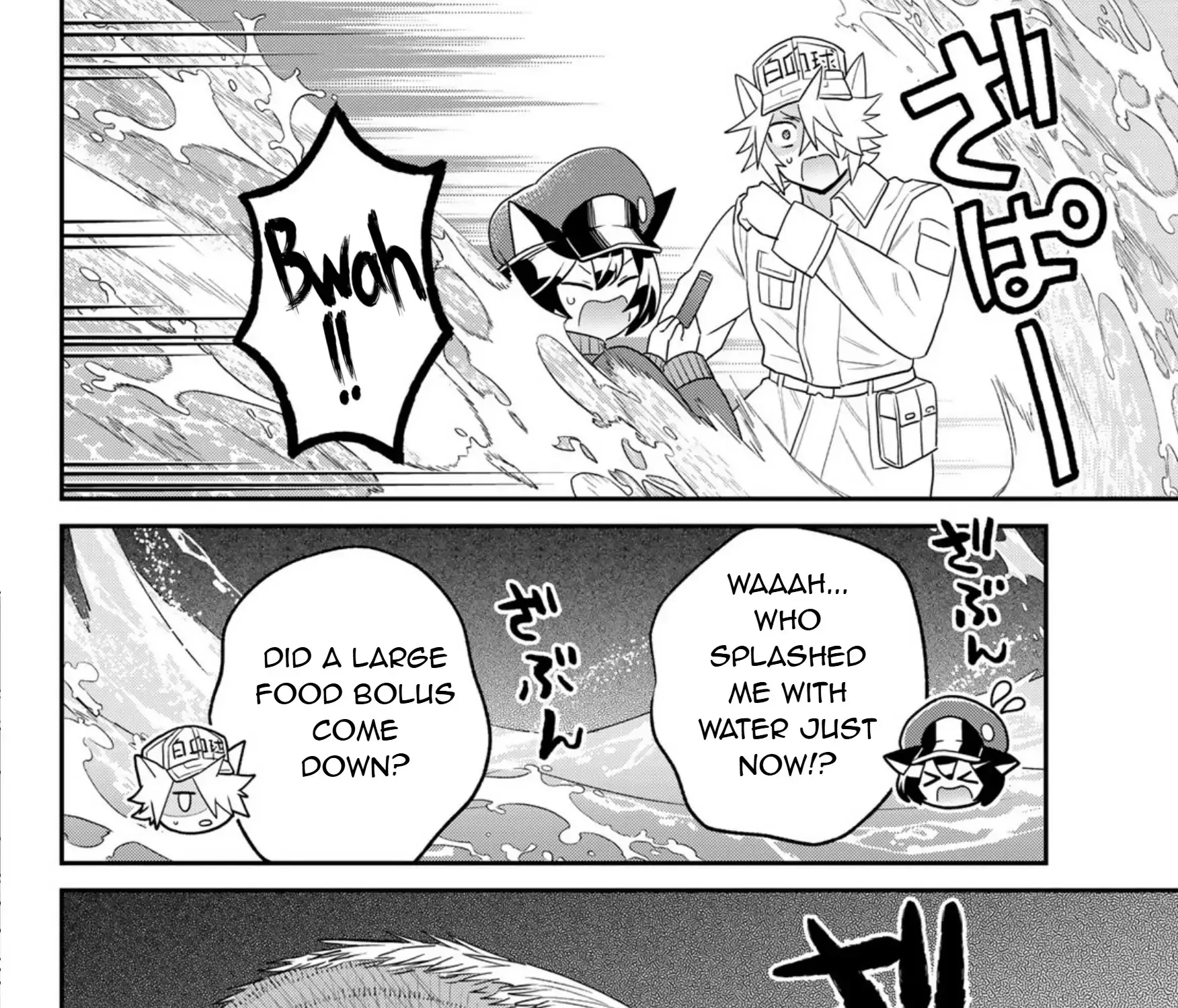 Cells at Work! Cat Chapter 16 page 49 - 