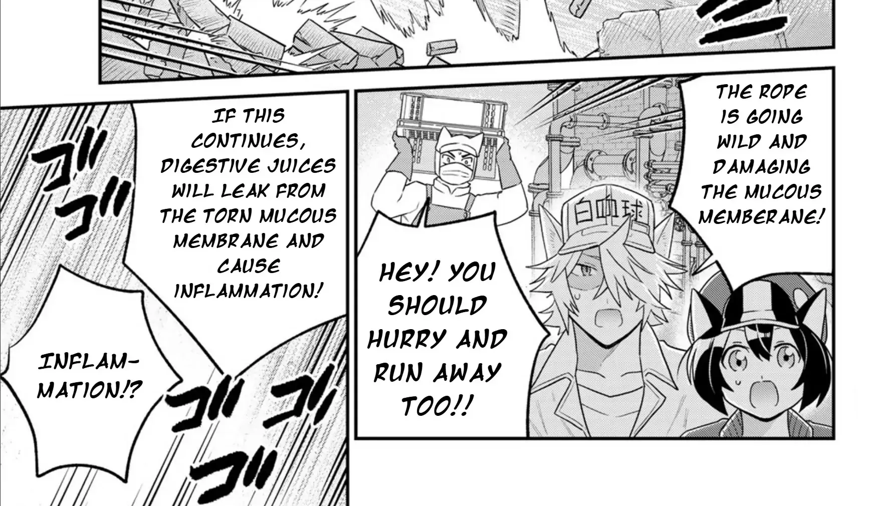 Cells at Work! Cat Chapter 16 page 56 - 