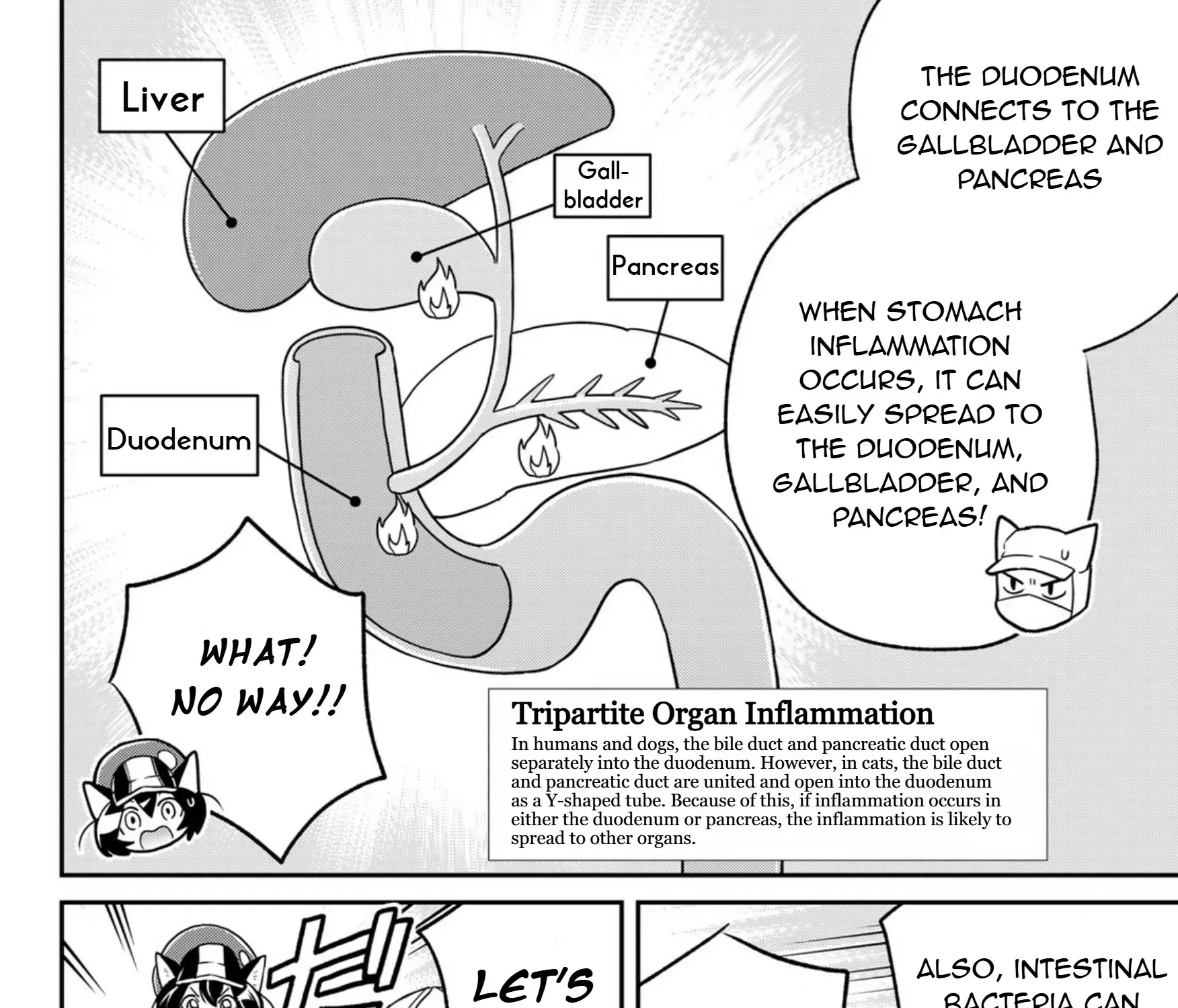Cells at Work! Cat Chapter 16 page 57 - 