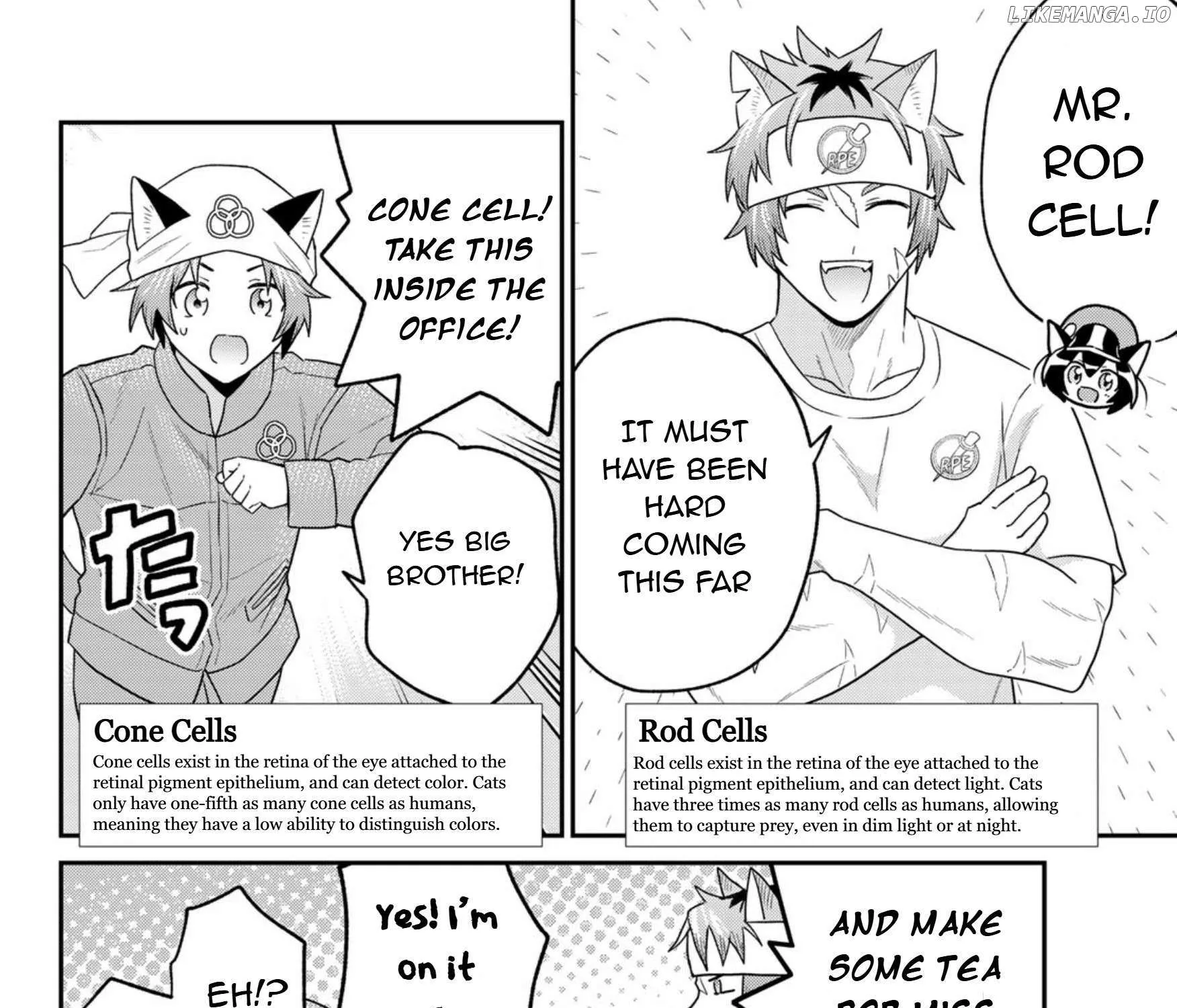 Cells at Work! Cat Chapter 17 page 11 - 
