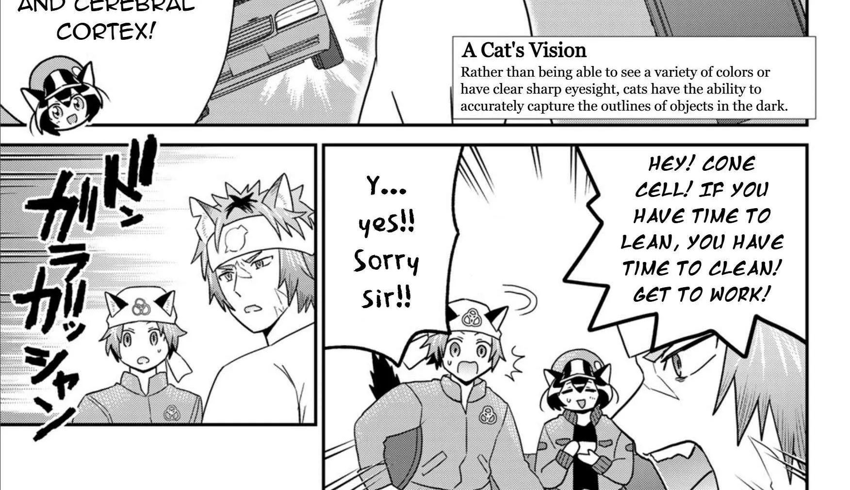 Cells at Work! Cat Chapter 17 page 14 - 