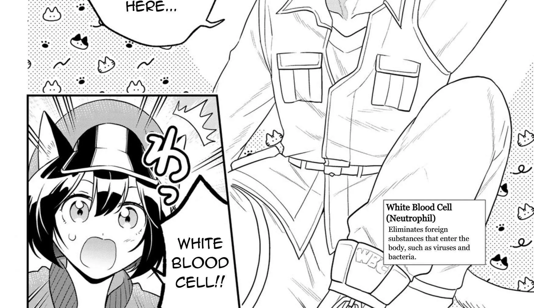 Cells at Work! Cat Chapter 17 page 16 - 