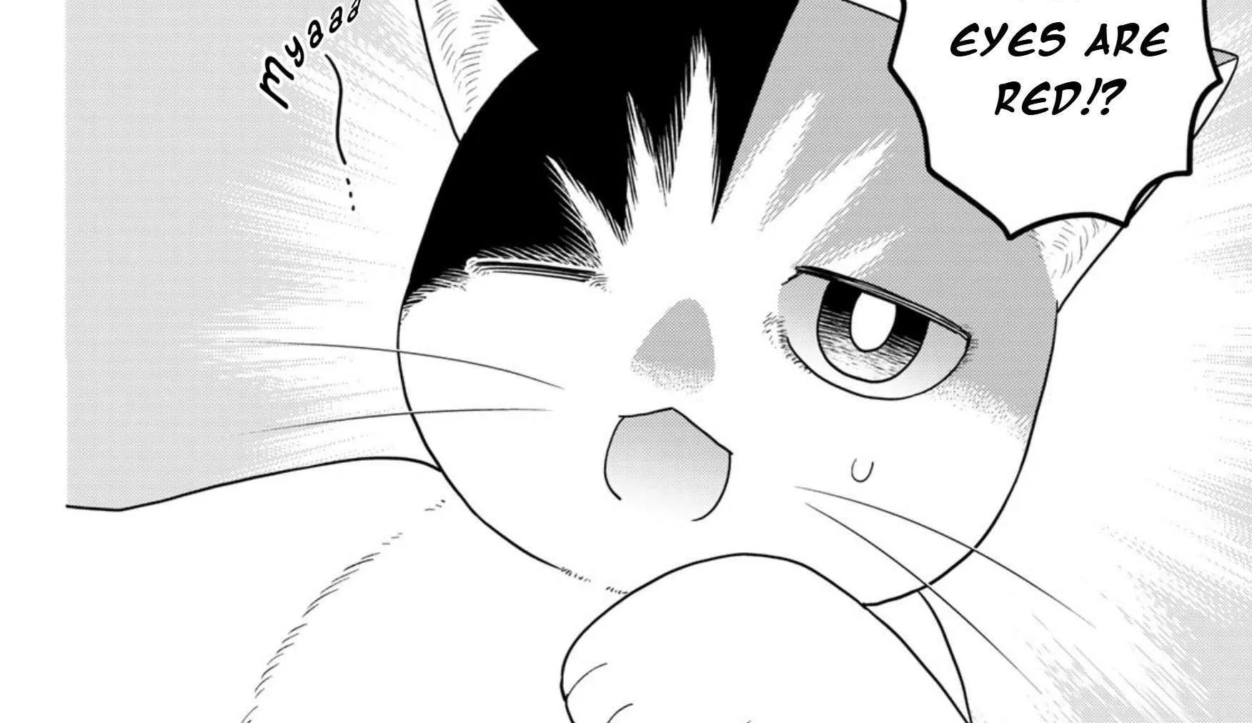 Cells at Work! Cat Chapter 17 page 4 - 