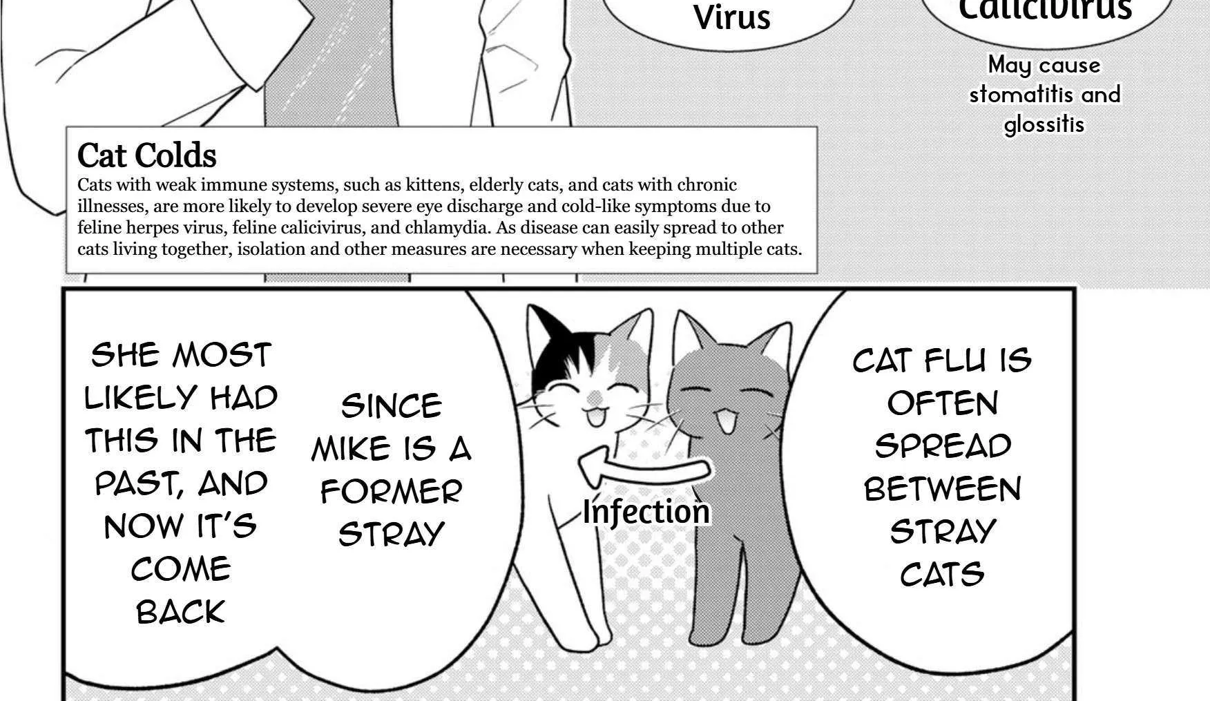 Cells at Work! Cat Chapter 17 page 64 - 