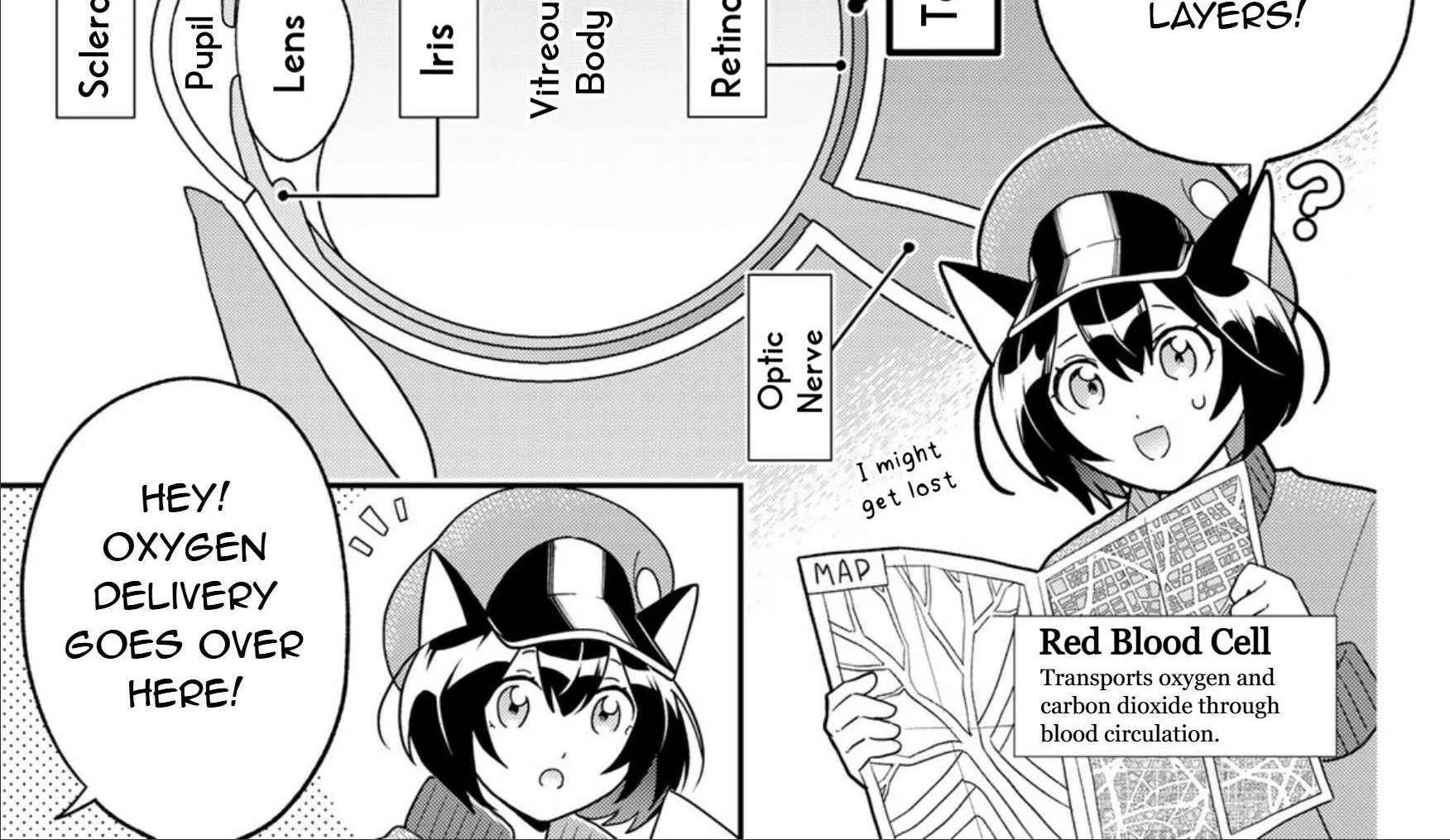 Cells at Work! Cat Chapter 17 page 10 - 