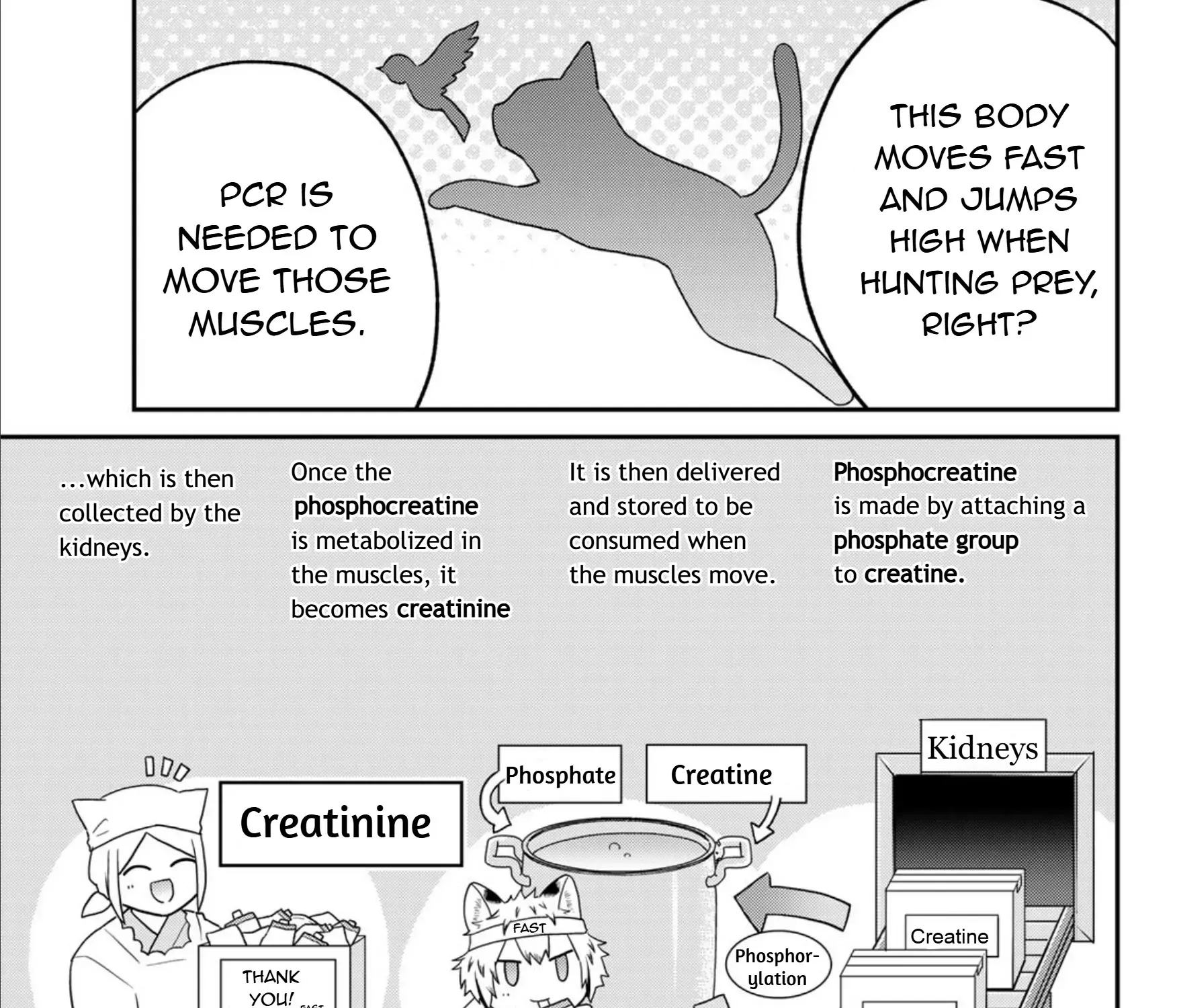 Cells at Work! Cat Chapter 18 page 34 - 