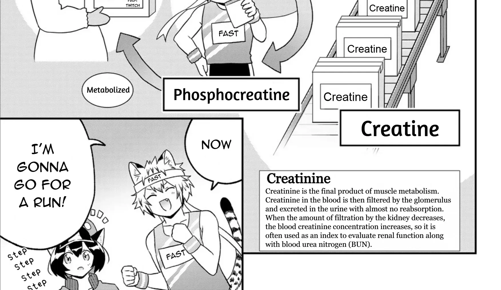 Cells at Work! Cat Chapter 18 page 35 - 