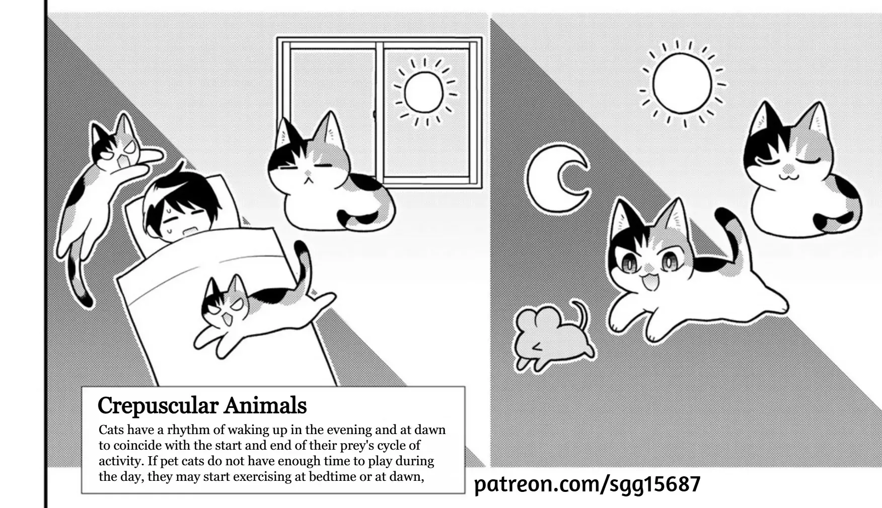 Cells at Work! Cat Chapter 18 page 41 - 