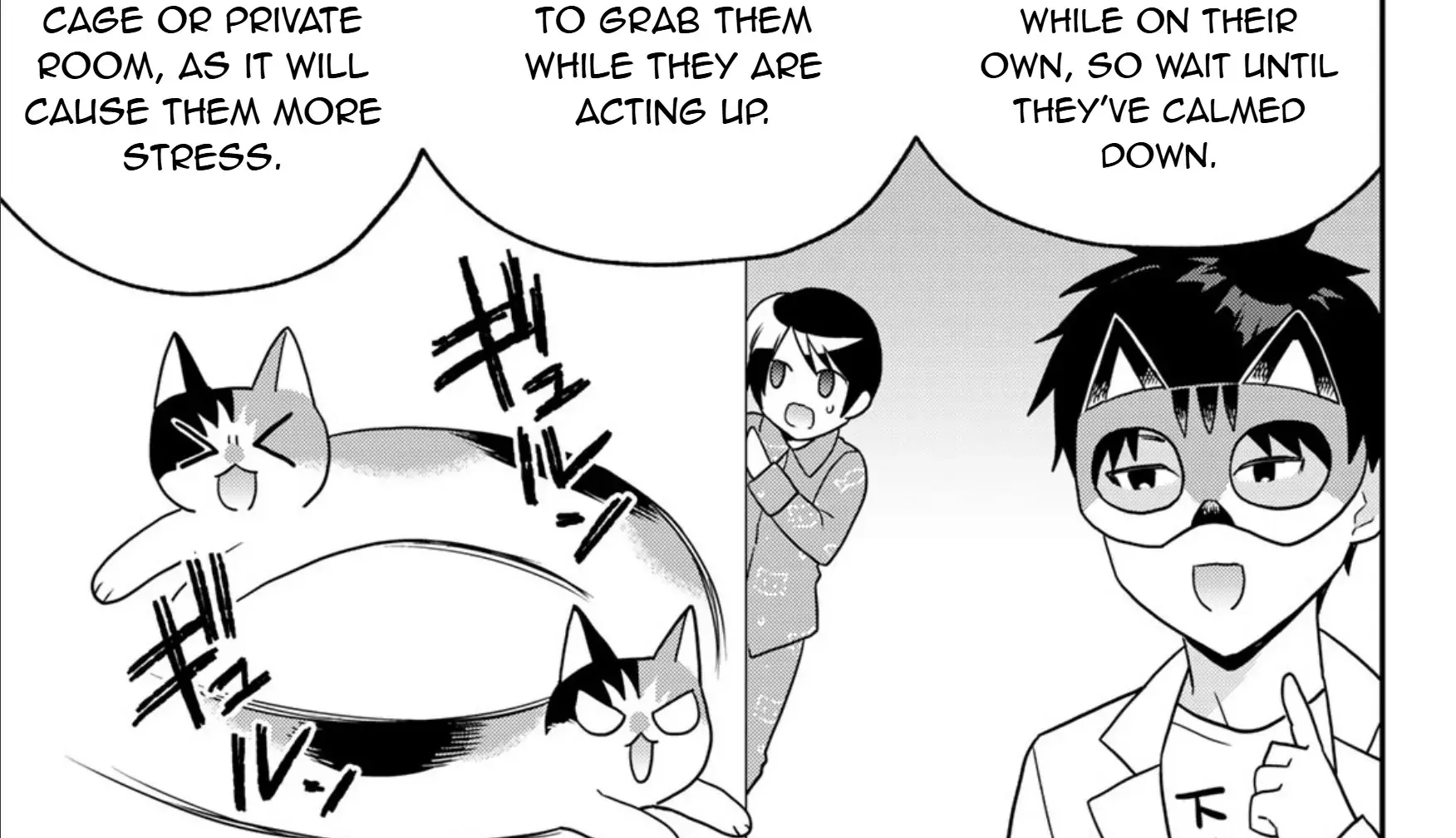Cells at Work! Cat Chapter 18 page 43 - 
