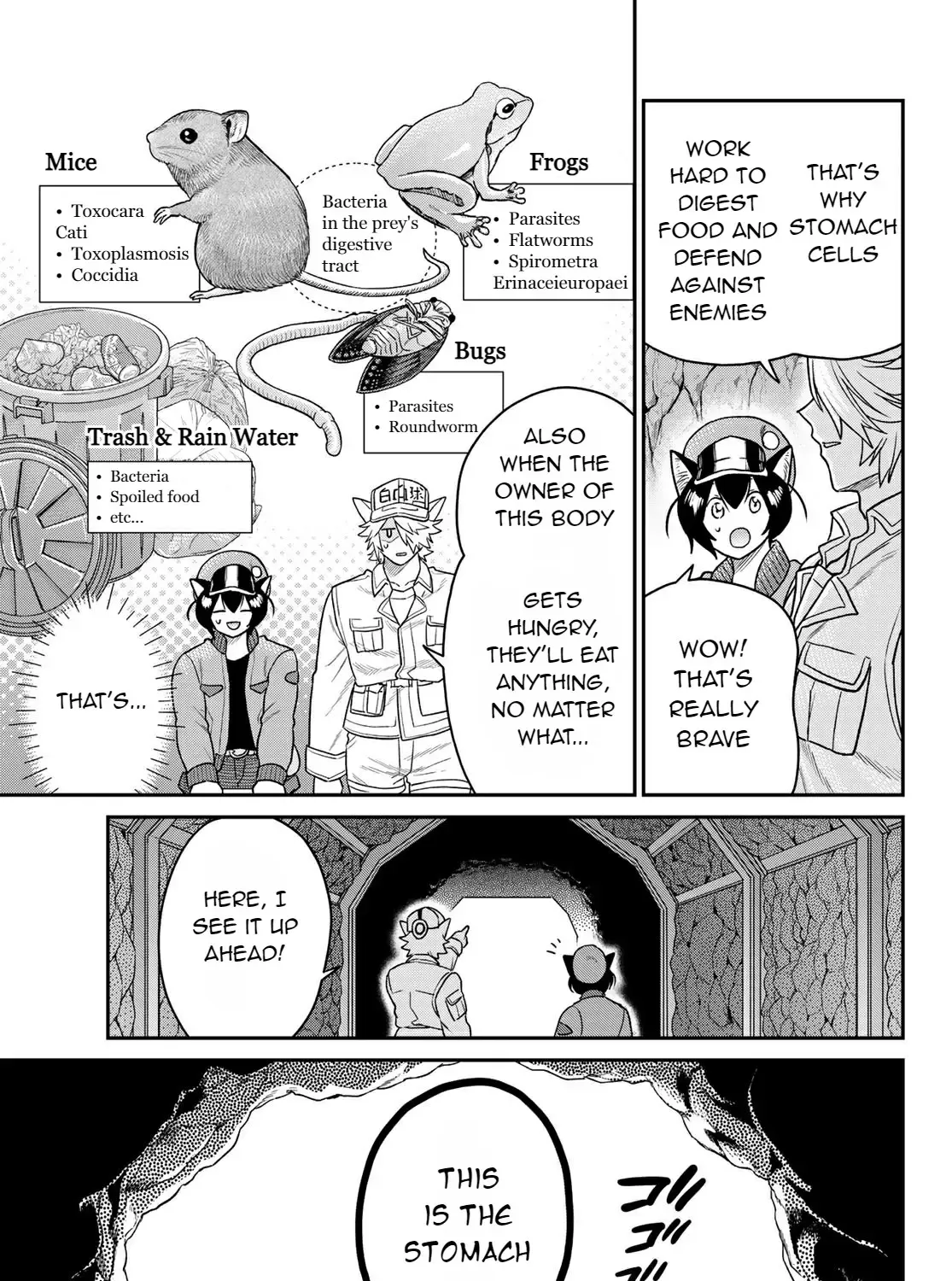 Cells at Work! Cat Chapter 2 page 24 - 