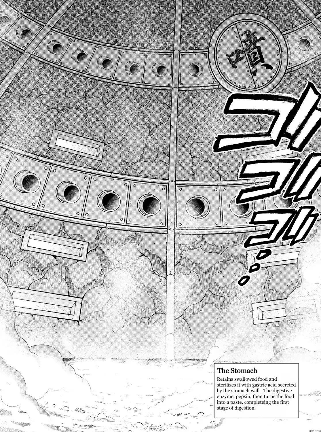 Cells at Work! Cat Chapter 2 page 26 - 