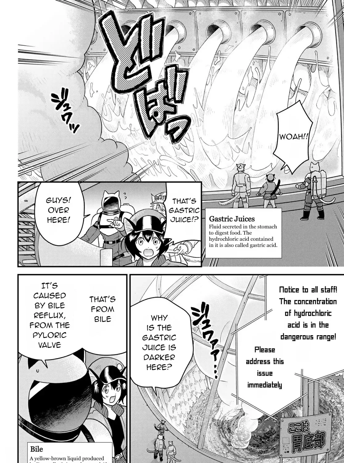 Cells at Work! Cat Chapter 2 page 38 - 