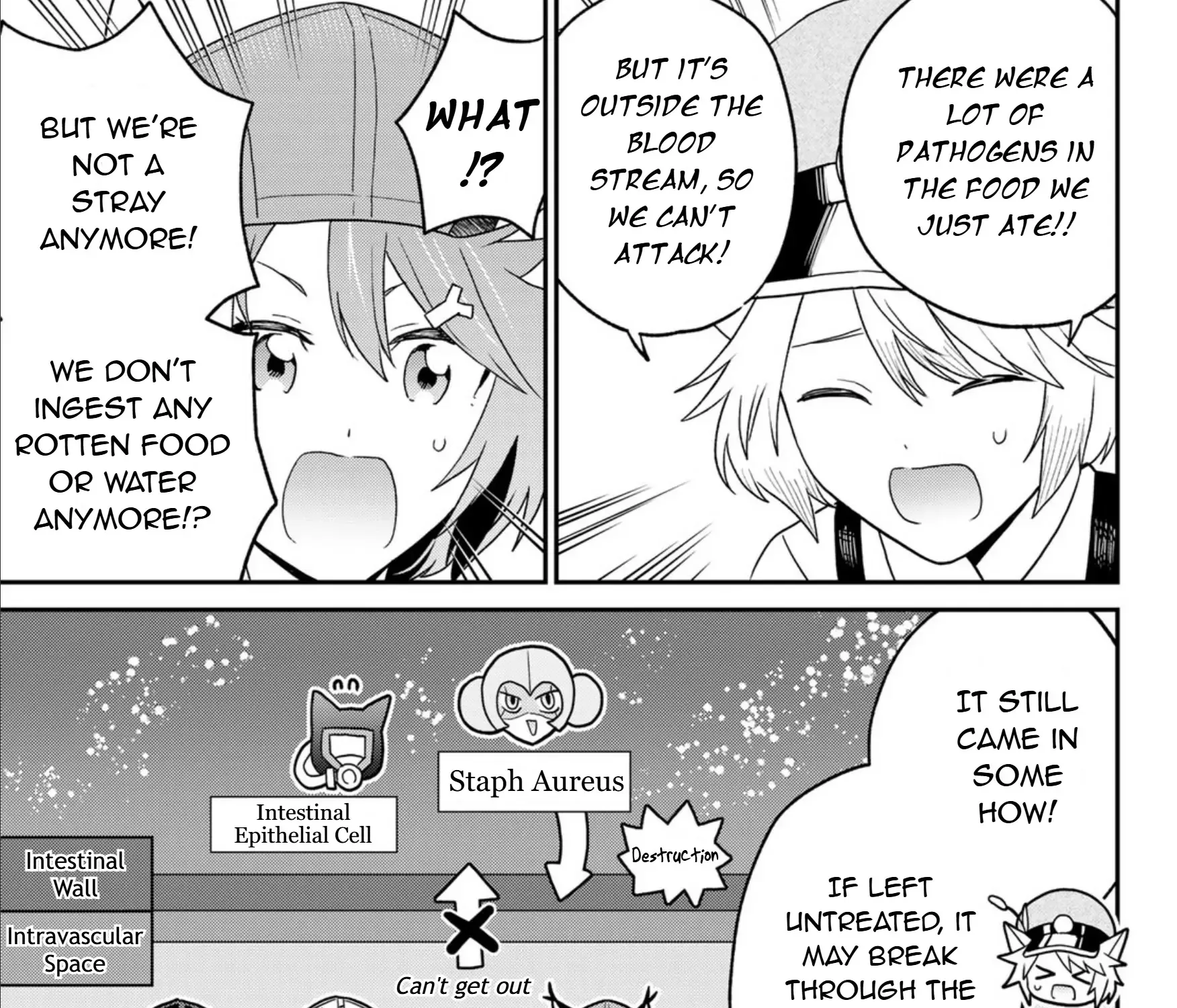 Cells at Work! Cat Chapter 20 page 17 - 
