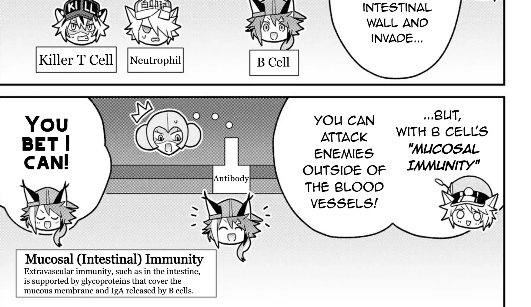 Cells at Work! Cat Chapter 20 page 18 - 