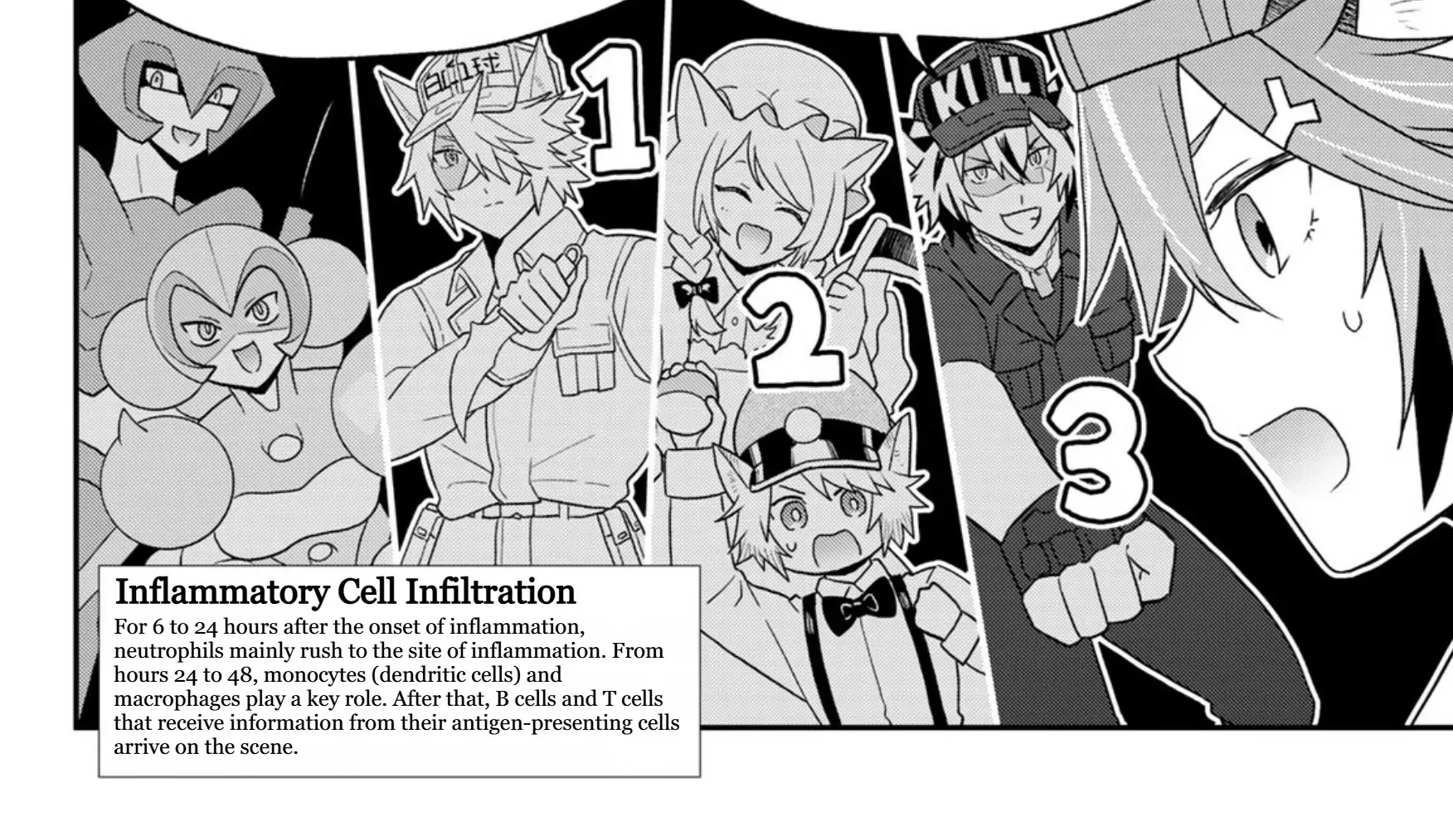 Cells at Work! Cat Chapter 20 page 24 - 