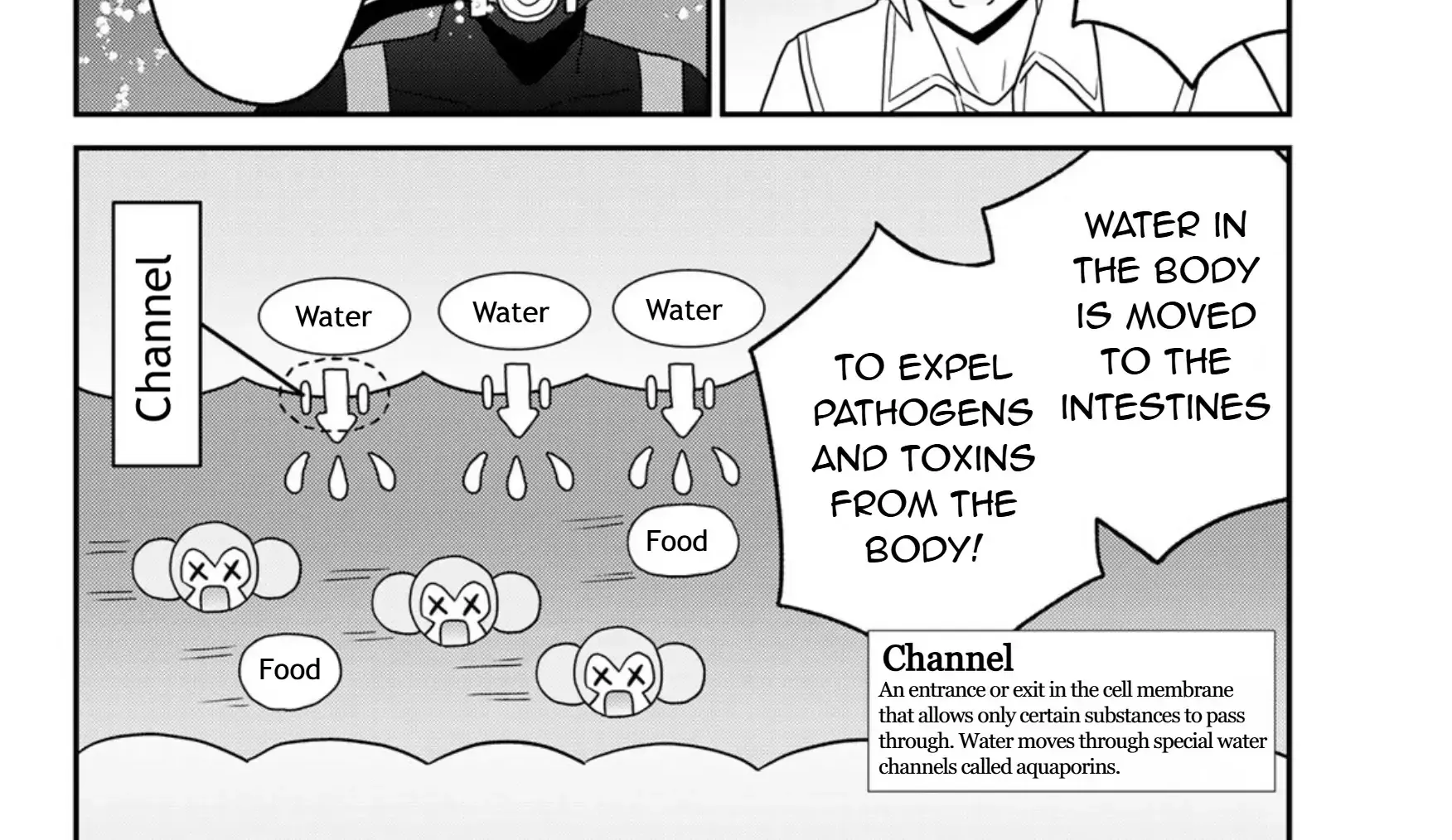 Cells at Work! Cat Chapter 20 page 36 - 