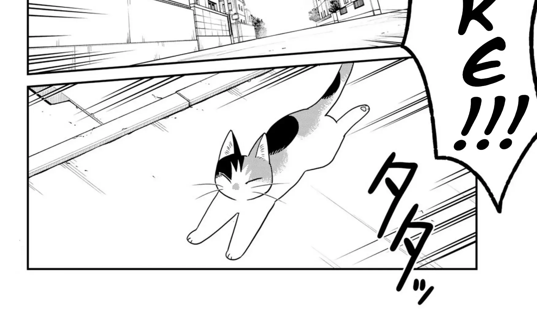 Cells at Work! Cat Chapter 21 page 12 - 