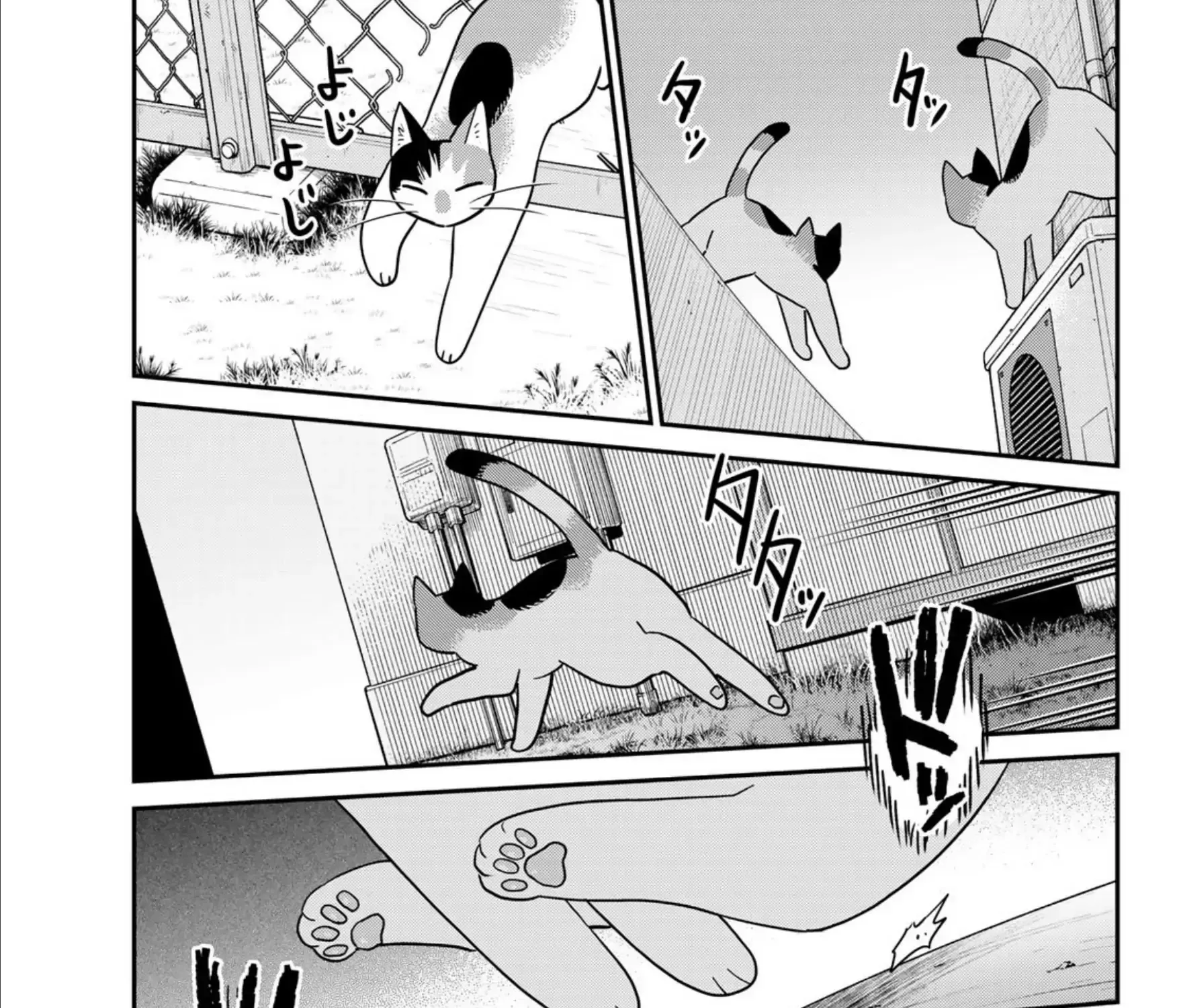 Cells at Work! Cat Chapter 21 page 13 - 