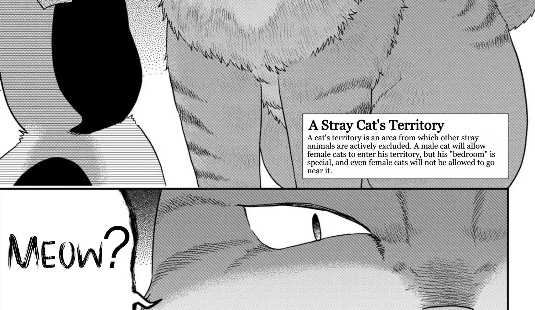 Cells at Work! Cat Chapter 21 page 22 - 