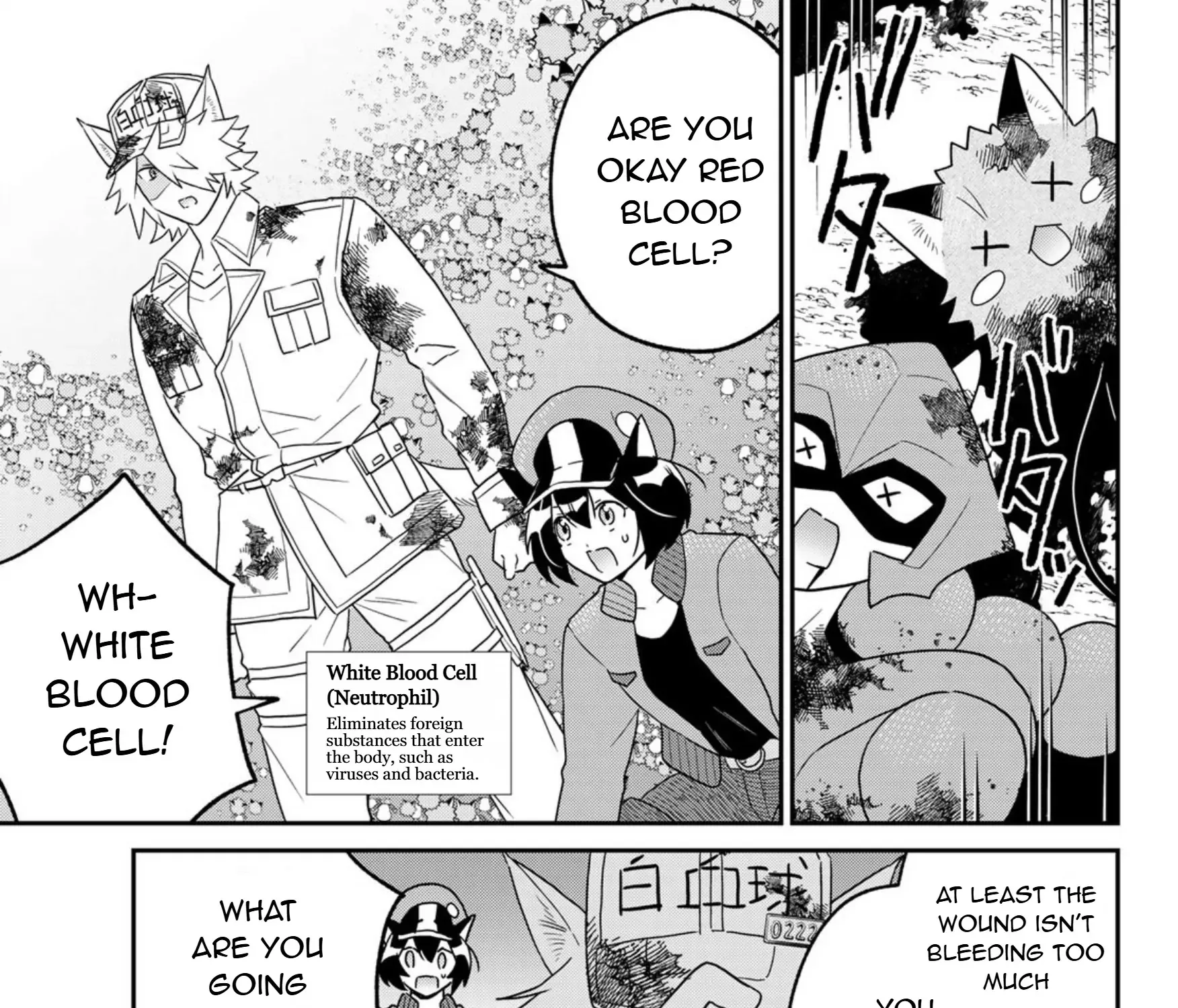 Cells at Work! Cat Chapter 21 page 41 - 
