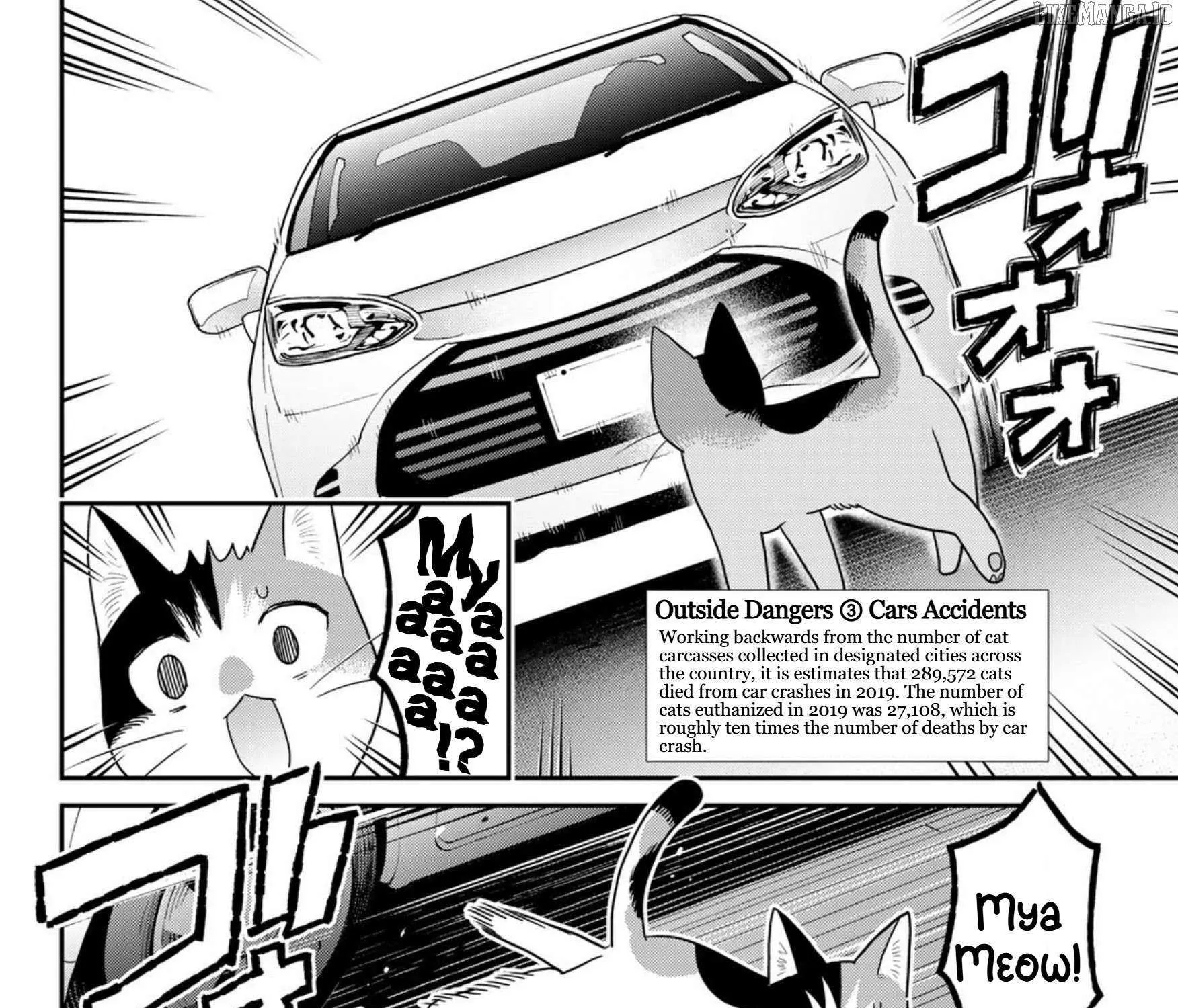 Cells at Work! Cat Chapter 22 page 11 - 