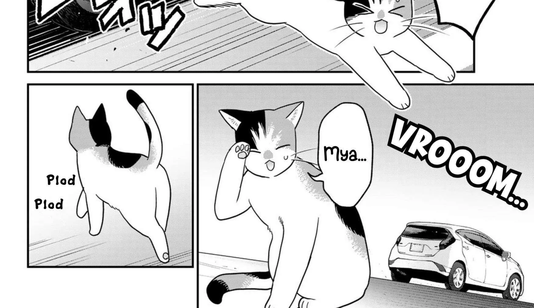 Cells at Work! Cat Chapter 22 page 12 - 