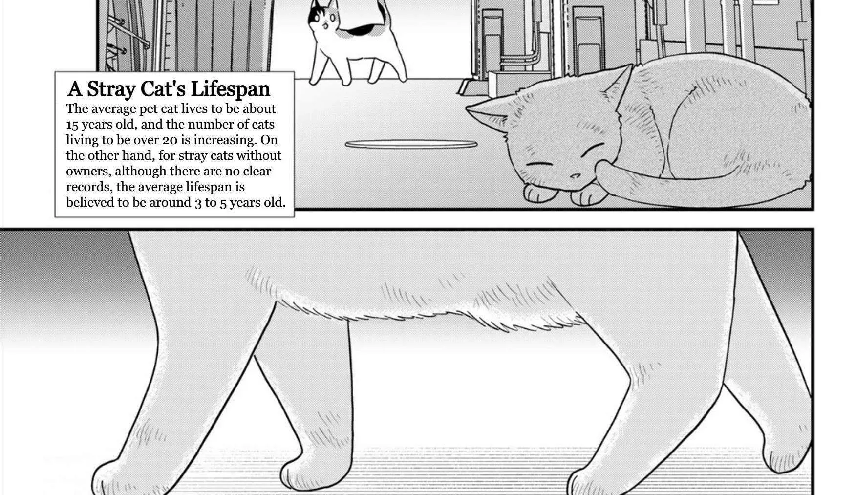 Cells at Work! Cat Chapter 22 page 14 - 