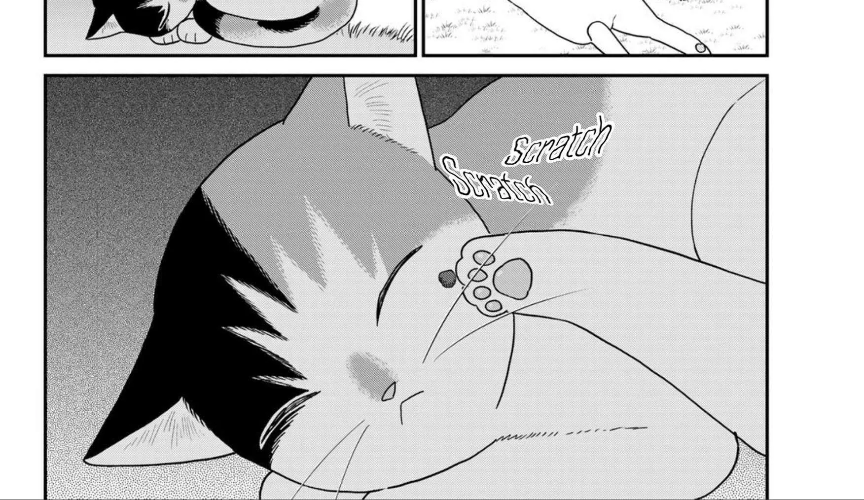 Cells at Work! Cat Chapter 22 page 16 - 