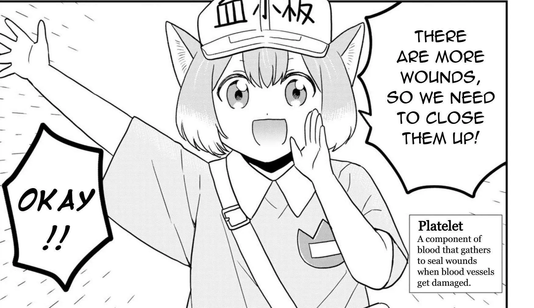 Cells at Work! Cat Chapter 22 page 28 - 