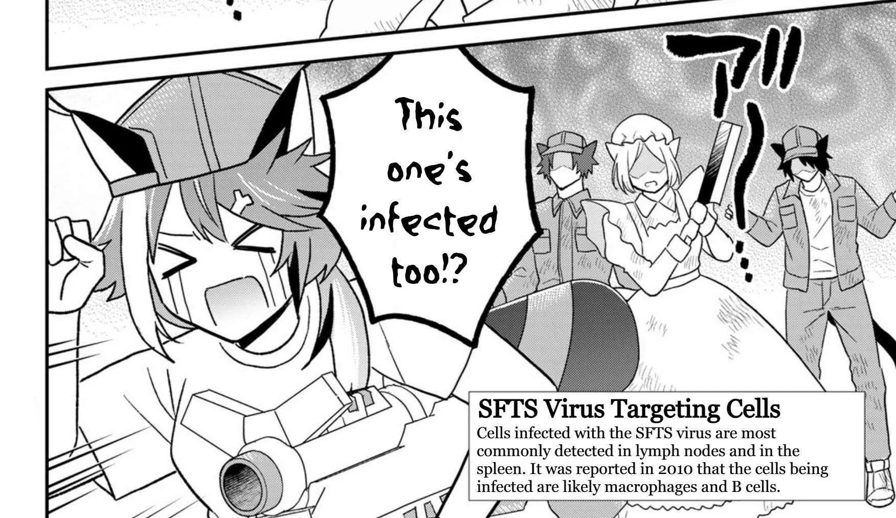 Cells at Work! Cat Chapter 22 page 36 - 