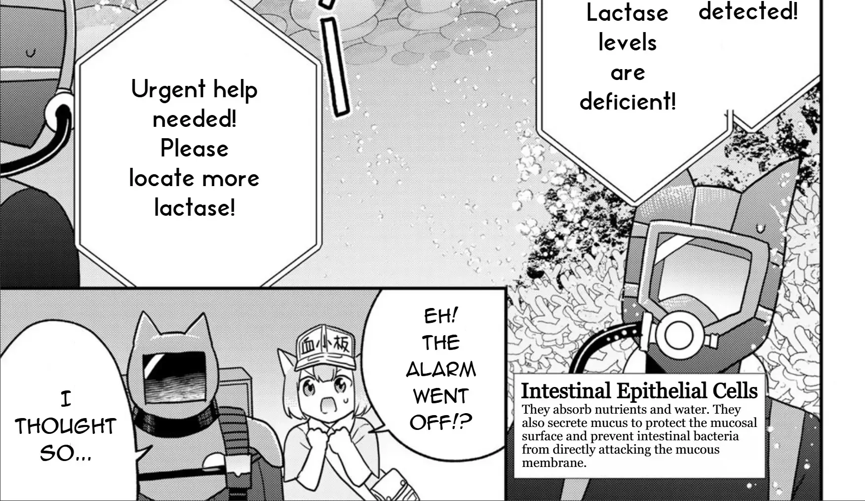 Cells at Work! Cat Chapter 23 page 26 - 