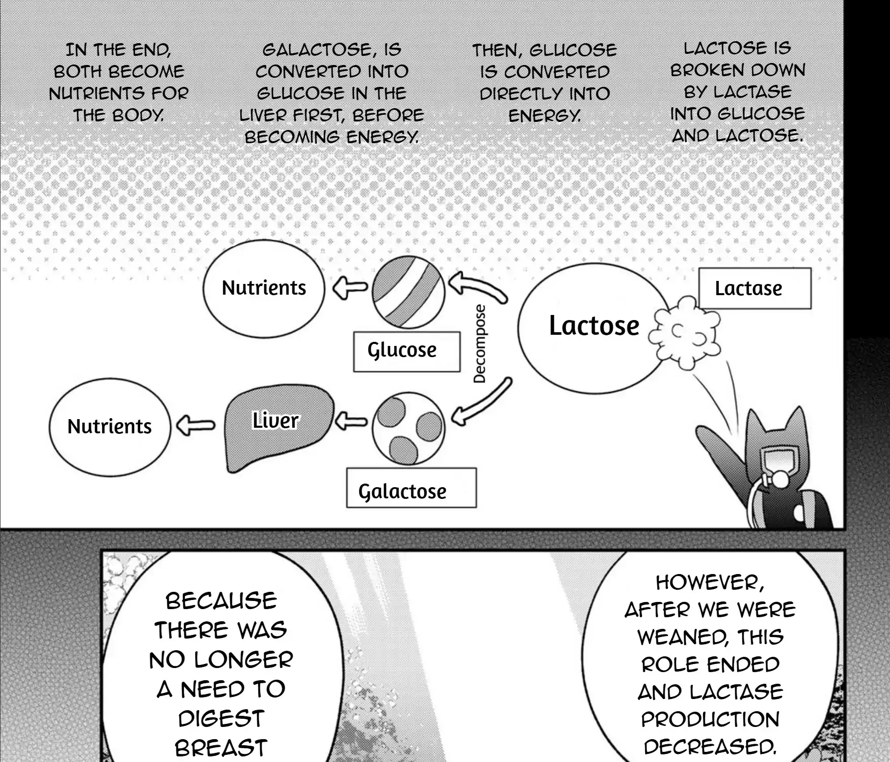 Cells at Work! Cat Chapter 23 page 29 - 