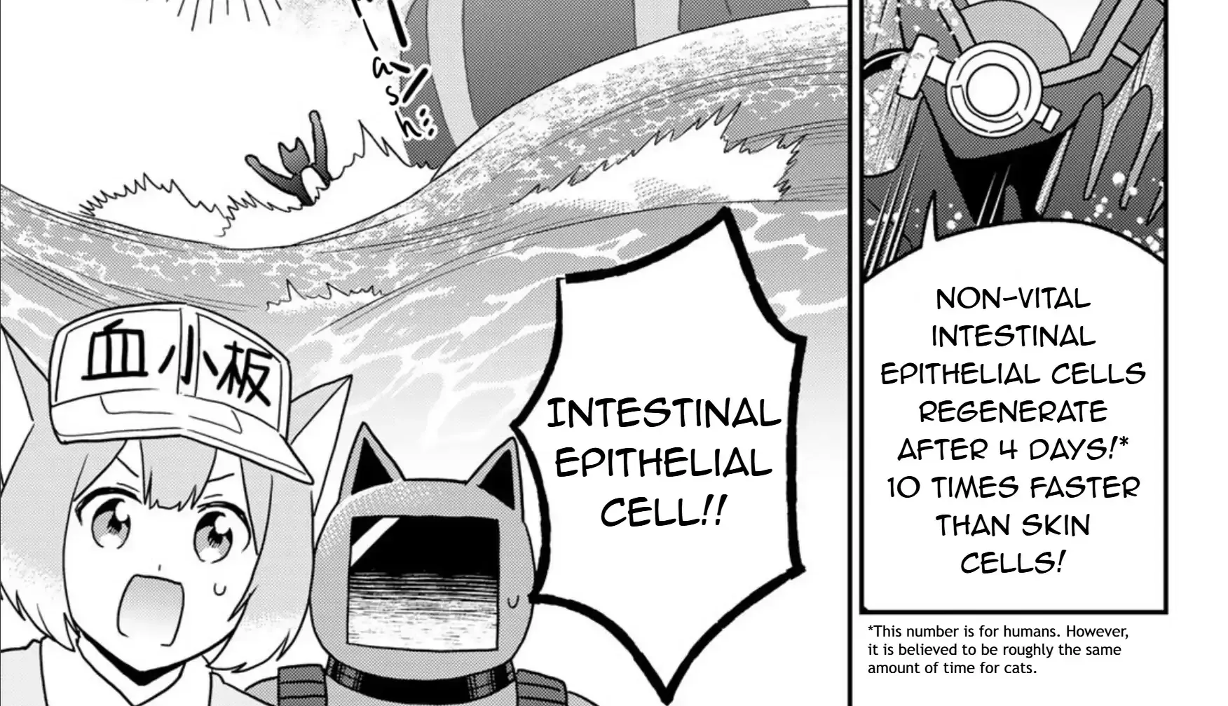 Cells at Work! Cat Chapter 23 page 42 - 