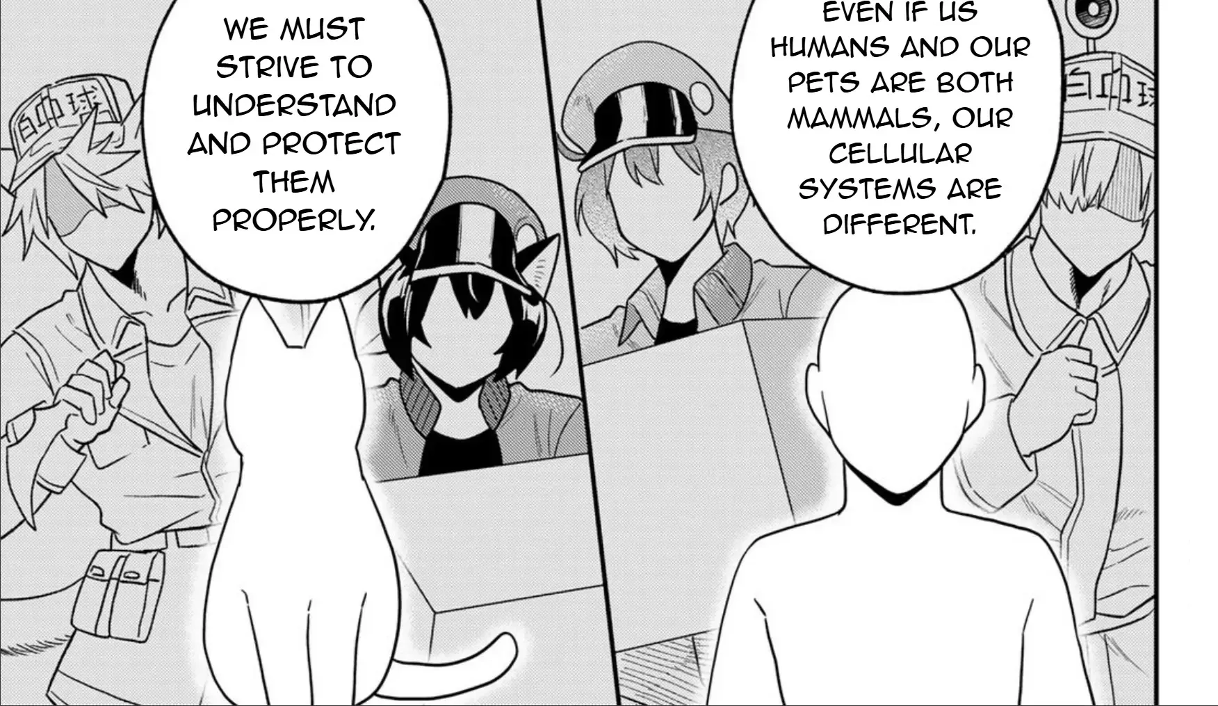 Cells at Work! Cat Chapter 23 page 54 - 