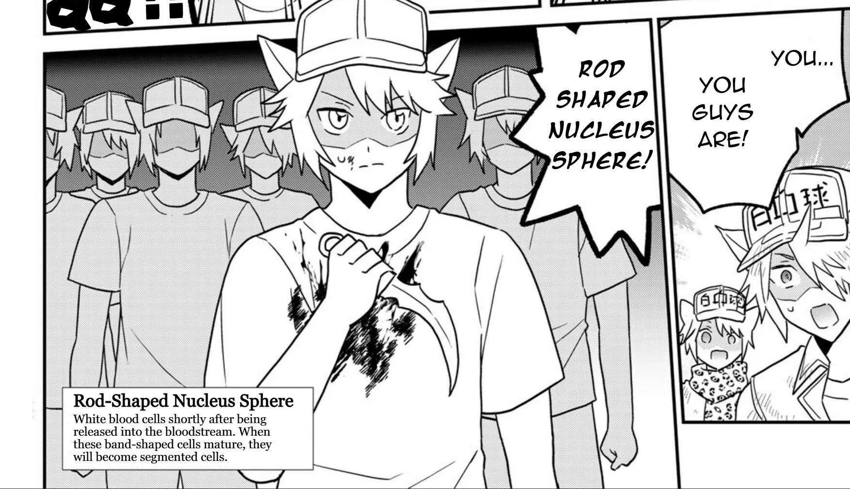 Cells at Work! Cat Chapter 24 page 13 - 