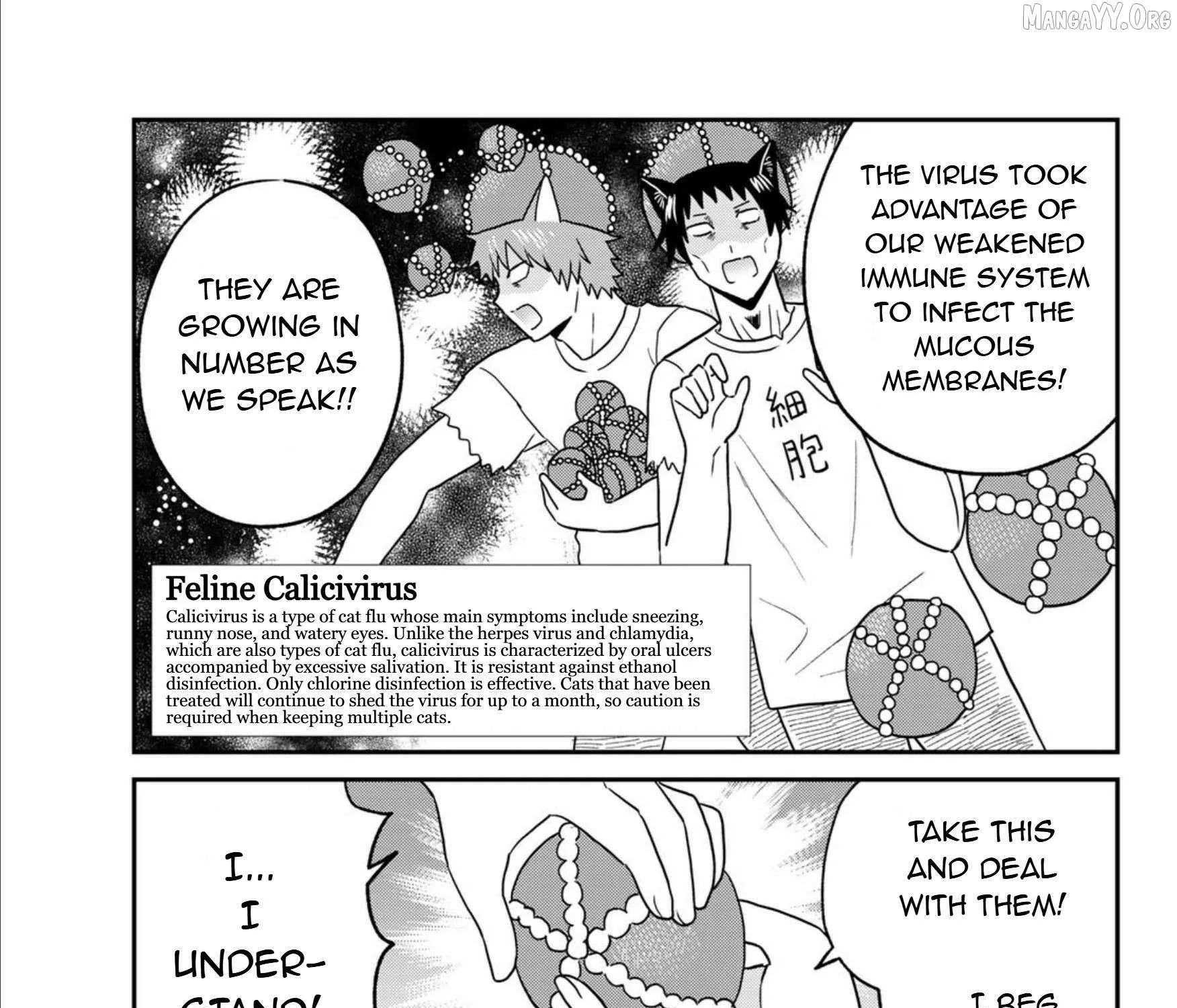 Cells at Work! Cat Chapter 24 page 26 - 