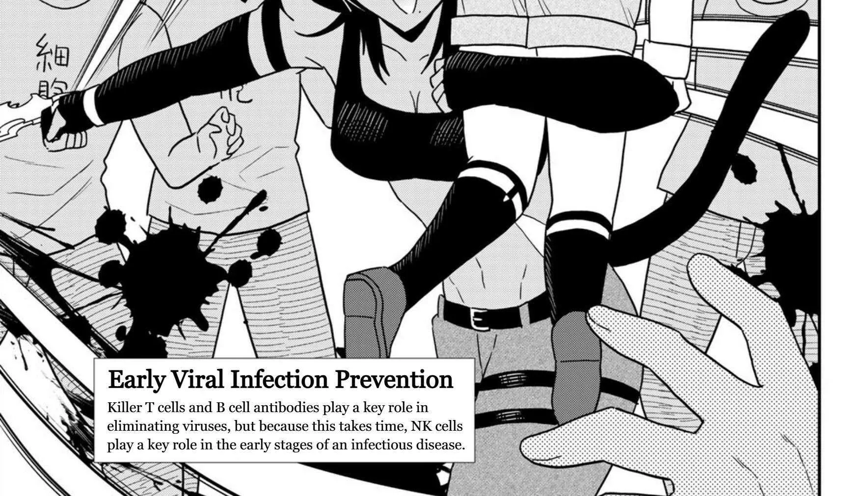 Cells at Work! Cat Chapter 24 page 35 - 