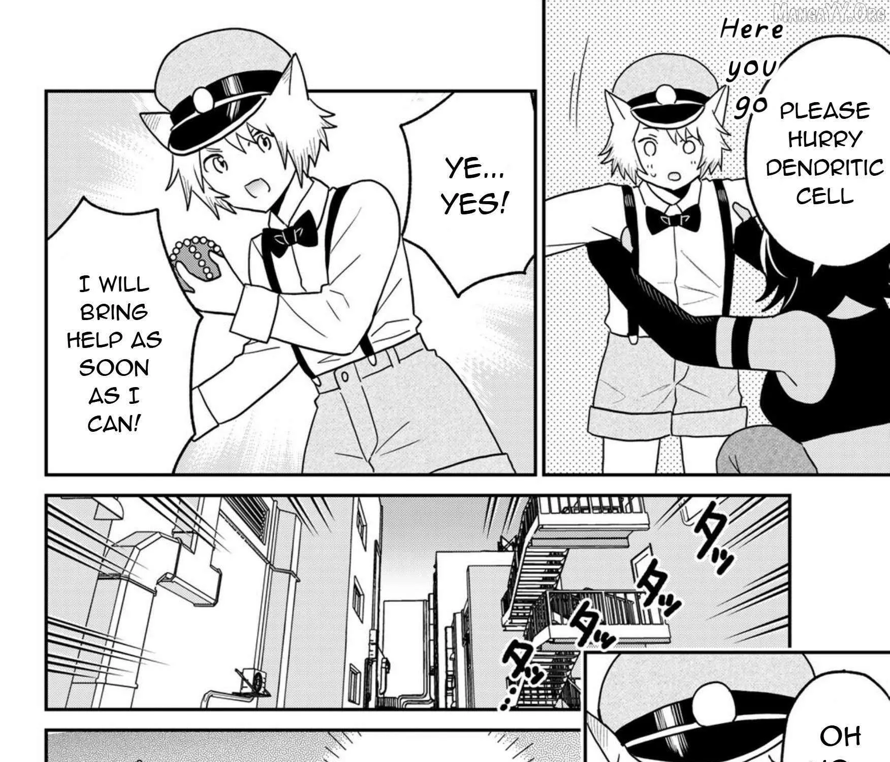 Cells at Work! Cat Chapter 24 page 36 - 
