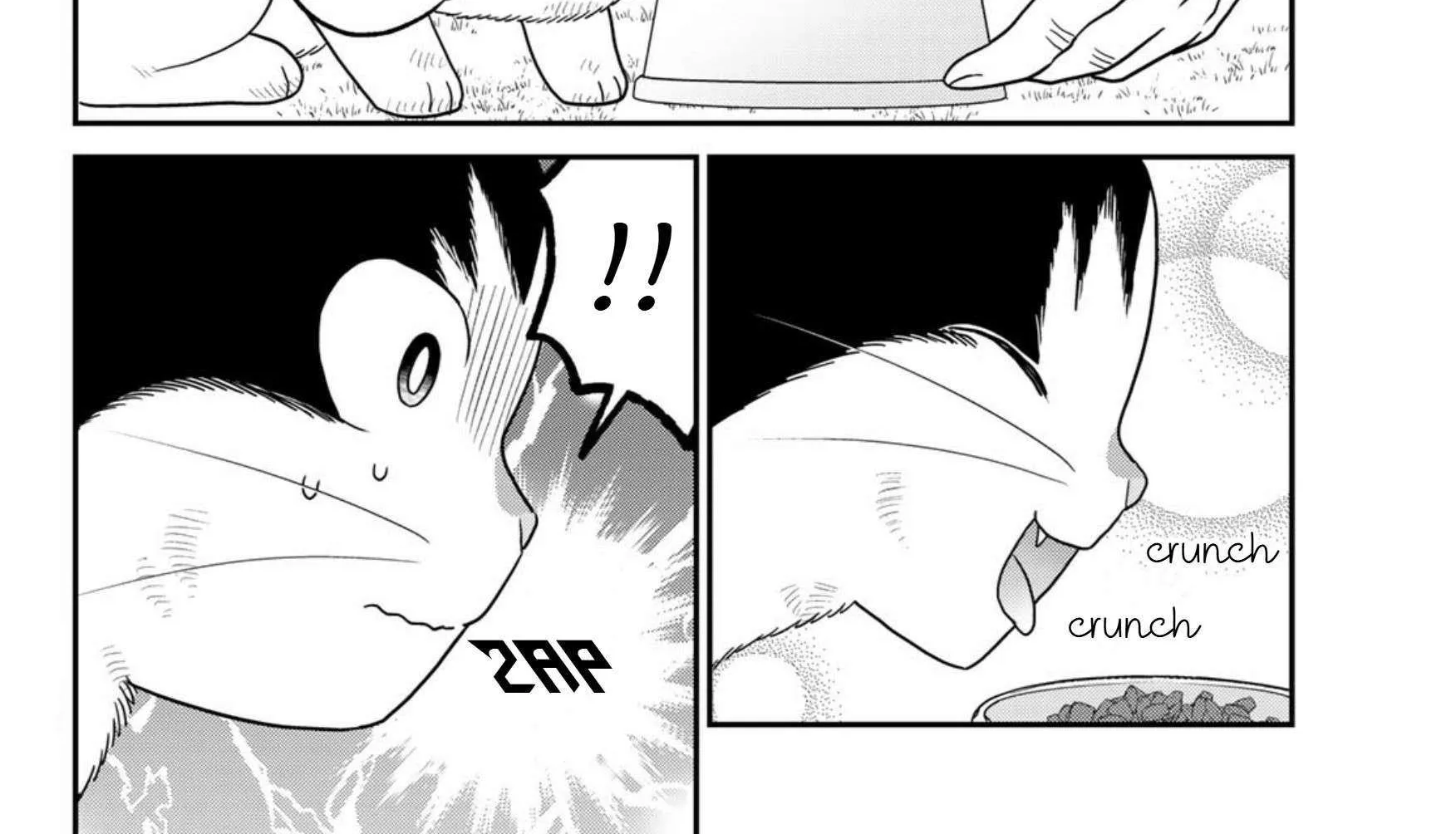 Cells at Work! Cat Chapter 24 page 5 - 