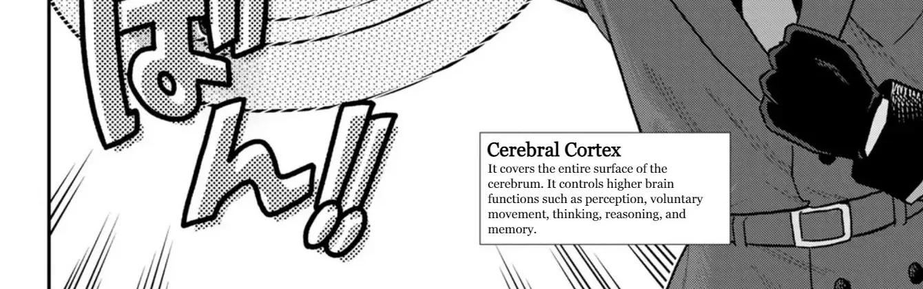 Cells at Work! Cat Chapter 3 page 11 - 