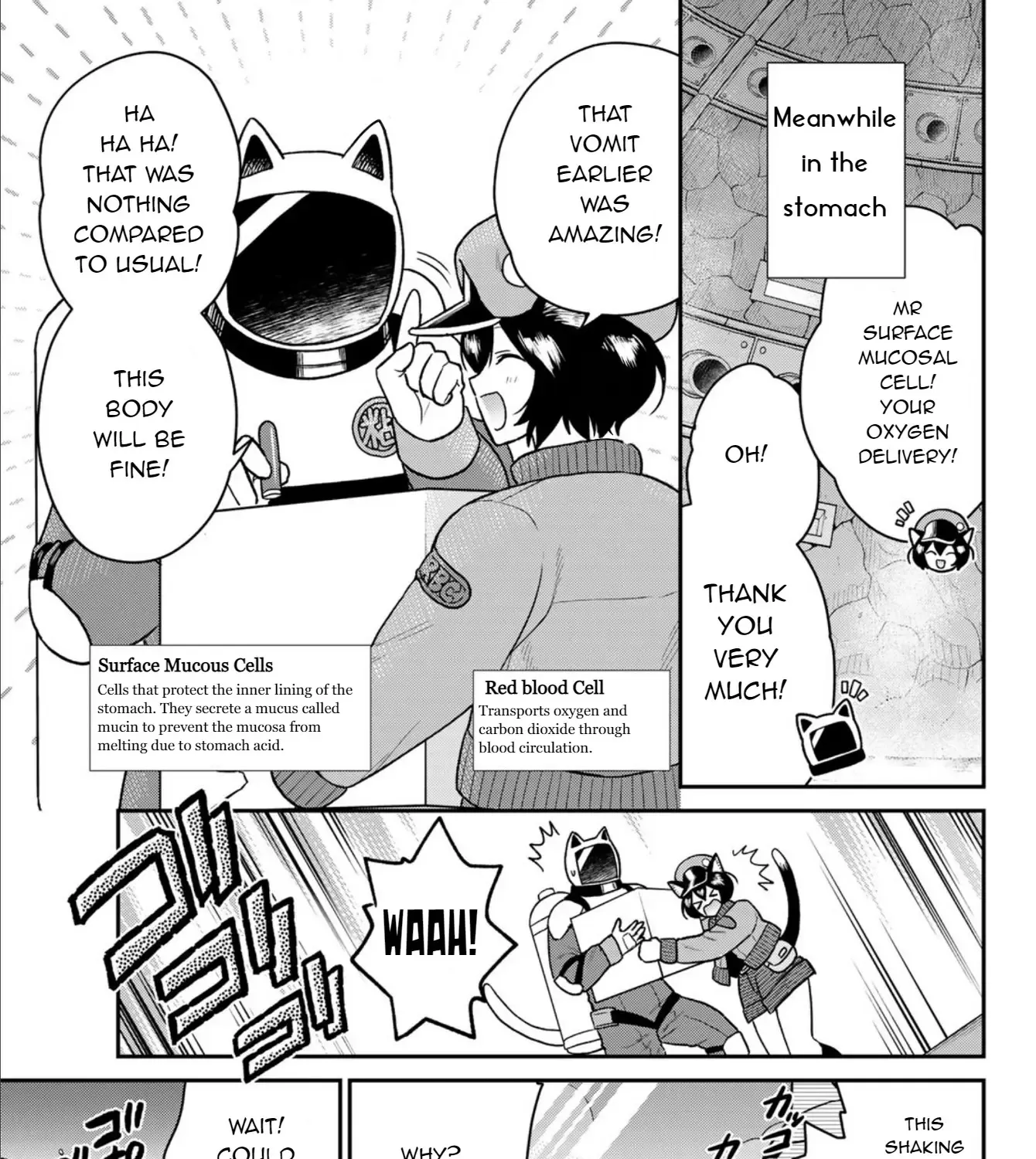 Cells at Work! Cat Chapter 3 page 32 - 