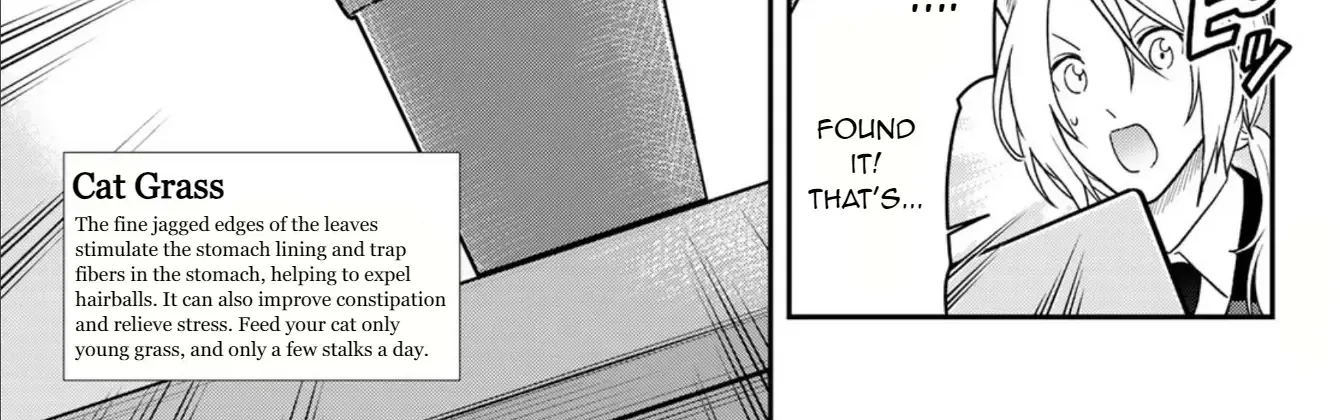 Cells at Work! Cat Chapter 3 page 41 - 