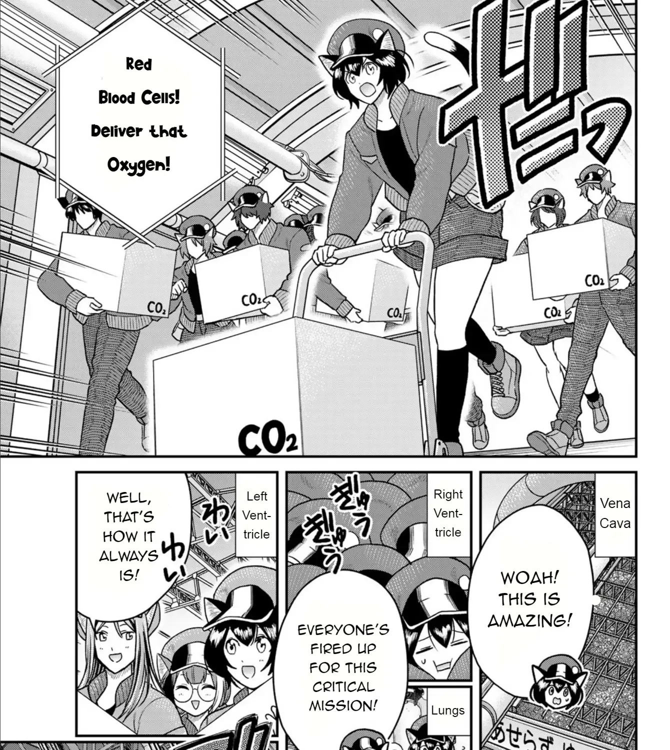 Cells at Work! Cat Chapter 3 page 48 - 
