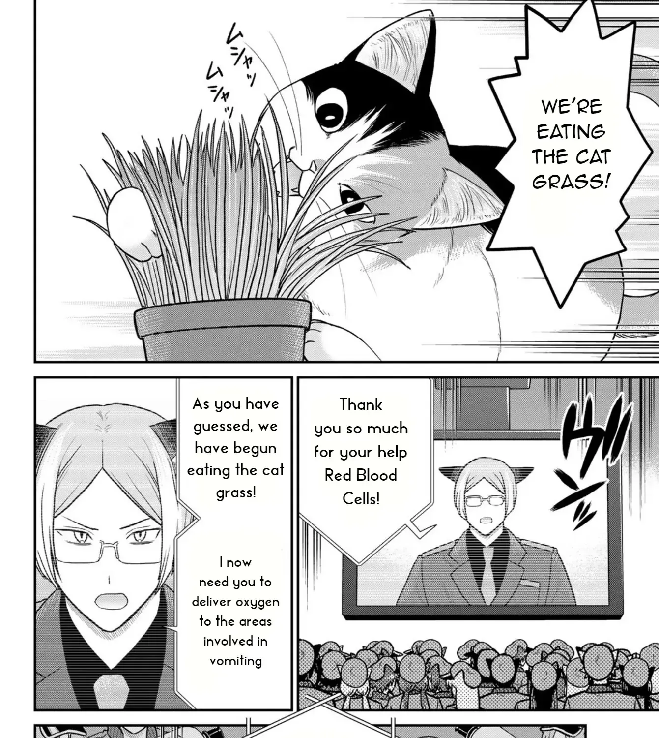 Cells at Work! Cat Chapter 3 page 50 - 