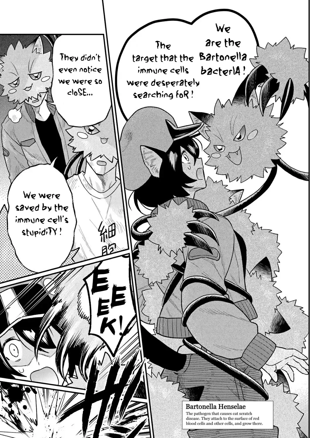 Cells at Work! Cat Chapter 4 page 30 - 